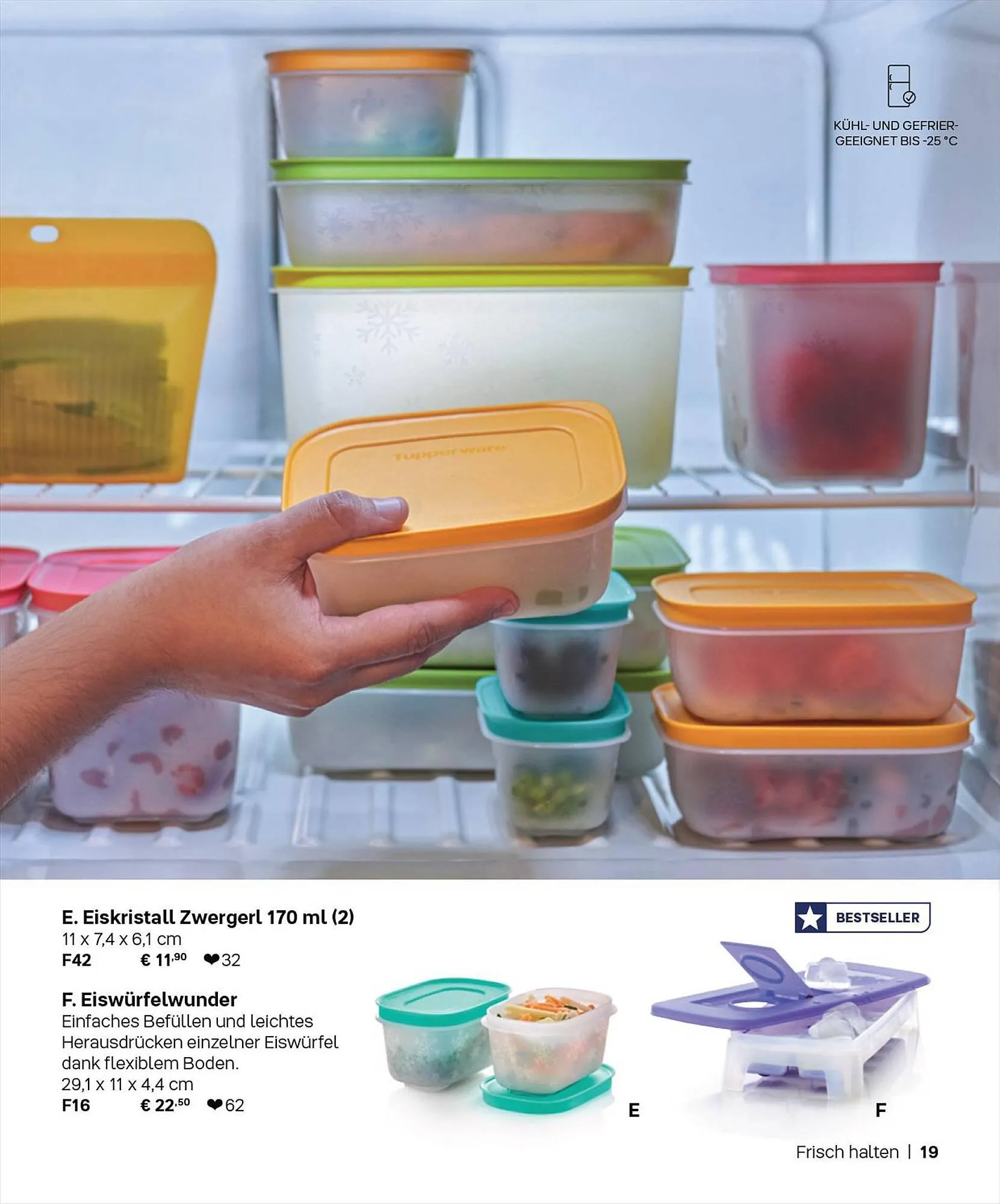 Tupperware Flugblatt von 1. September bis 29. Februar 2024 - Flugblätt seite  19