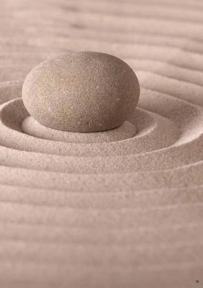 Casafino Katalog von 1. Februar bis 31. Dezember 2024 - Flugblätt seite 79