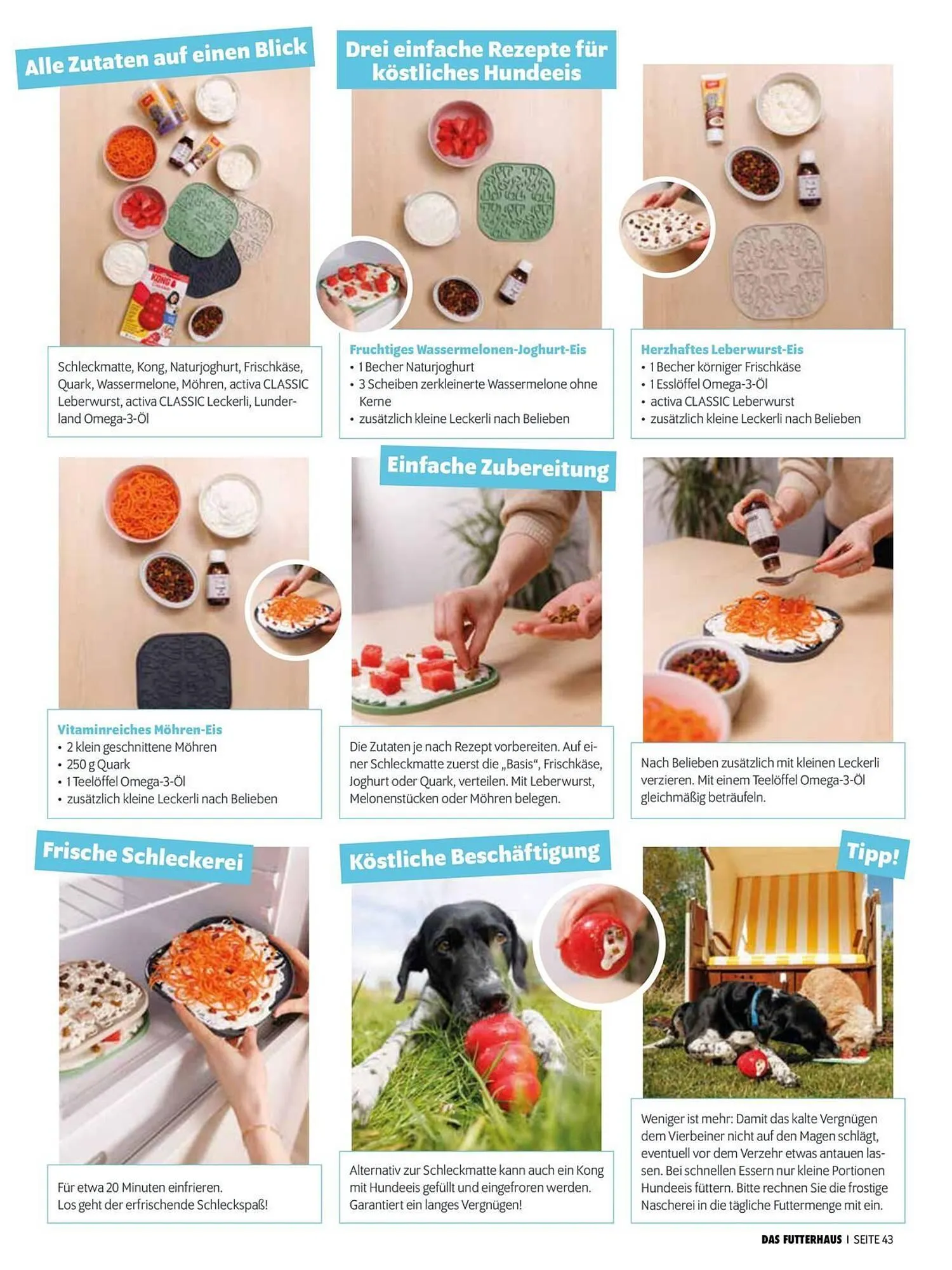 Das Futterhaus Flugblatt von 31. Mai bis 23. Juni 2024 - Flugblätt seite  43