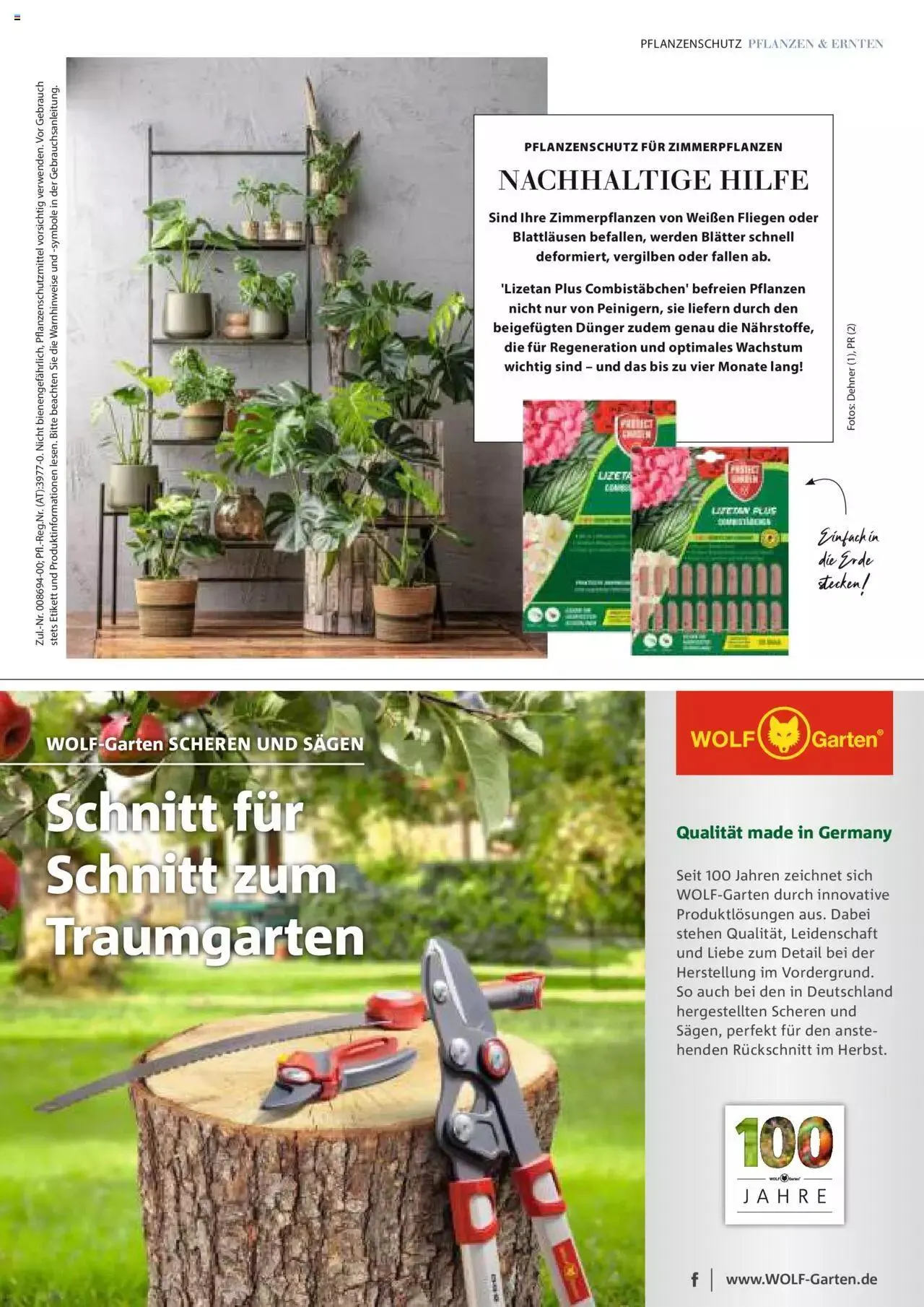 Dehner Flugblatt von 10. Oktober bis 31. Dezember 2023 - Flugblätt seite  53