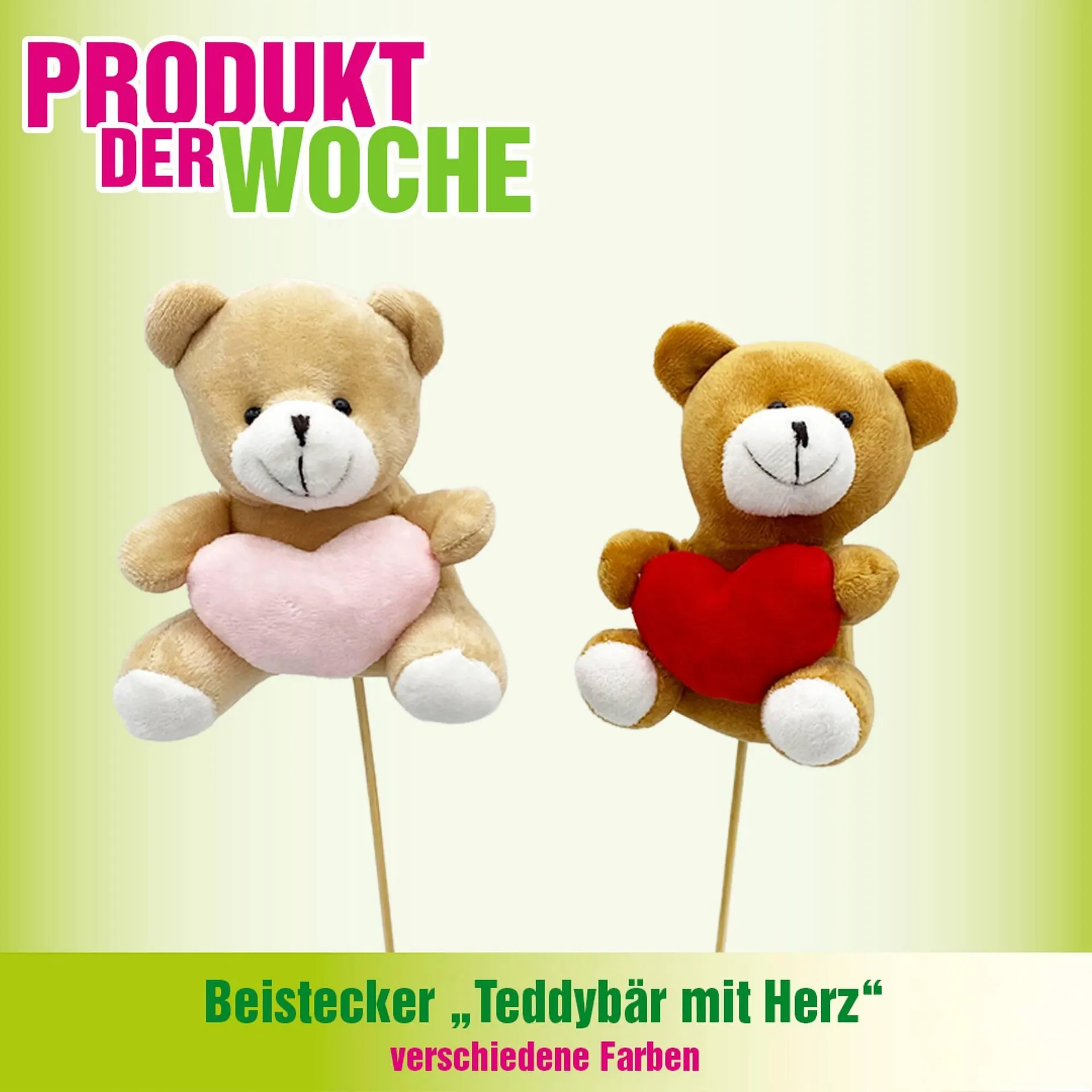 Blumen B&B Flugblatt von 9. Februar bis 15. Februar 2026 - Flugblätt seite  7