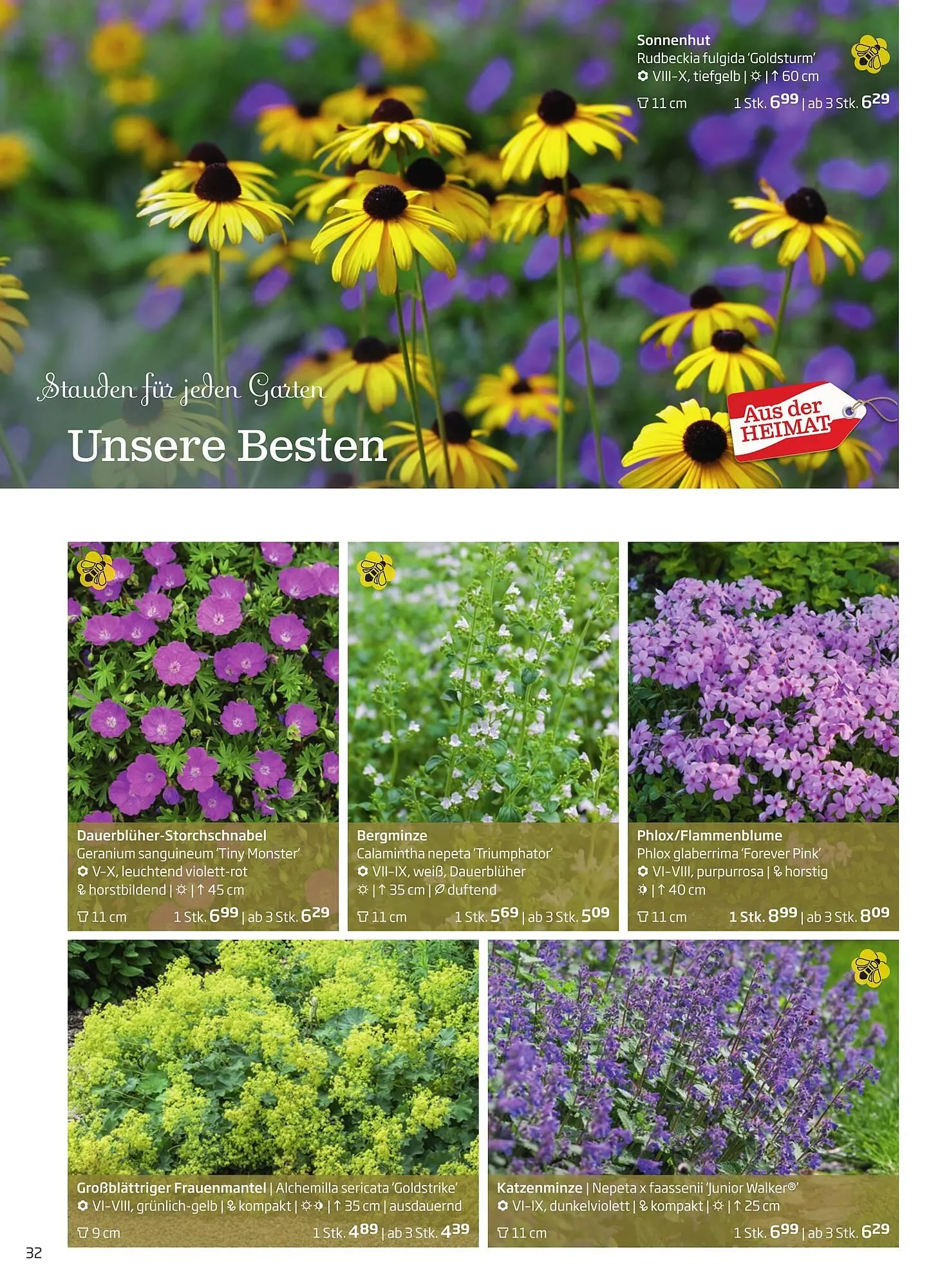 Starkl Flugblatt von 1. Jänner bis 31. Dezember 2023 - Flugblätt seite  32