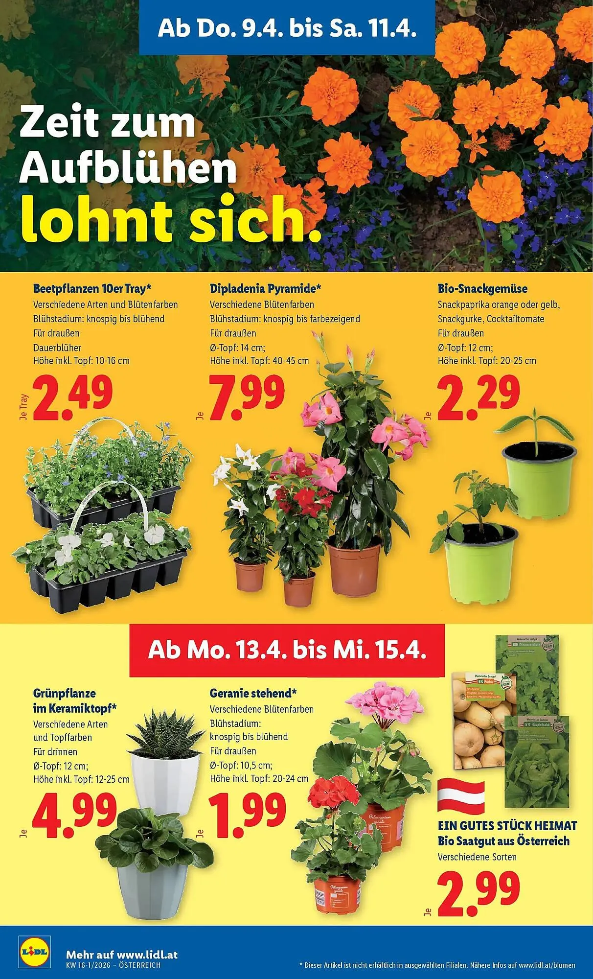 Lidl Flugblatt von 9. April bis 16. April 2026 - Flugblätt seite 28