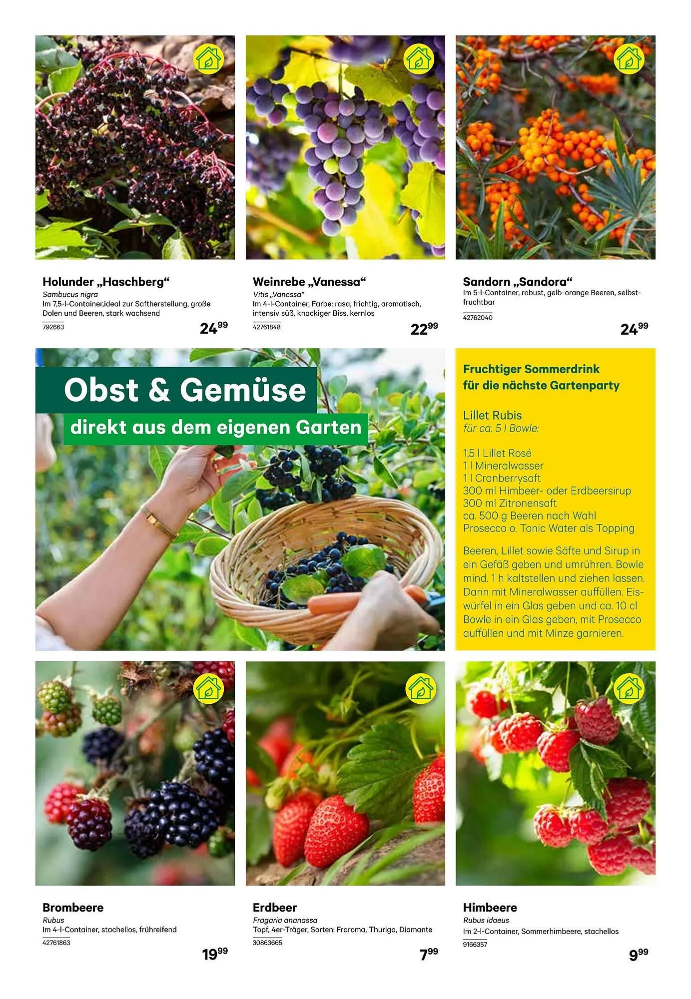 BayWa Flugblatt von 7. Mai bis 18. Mai 2024 - Flugblätt seite 4