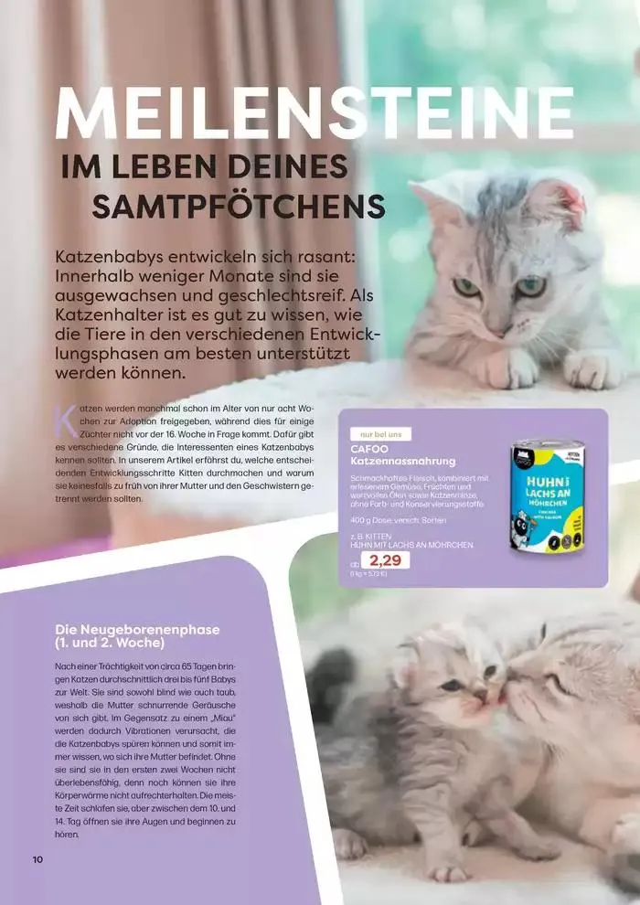 Angebote ZOO & Co von 29. November bis 13. Dezember 2024 - Flugblätt seite 10