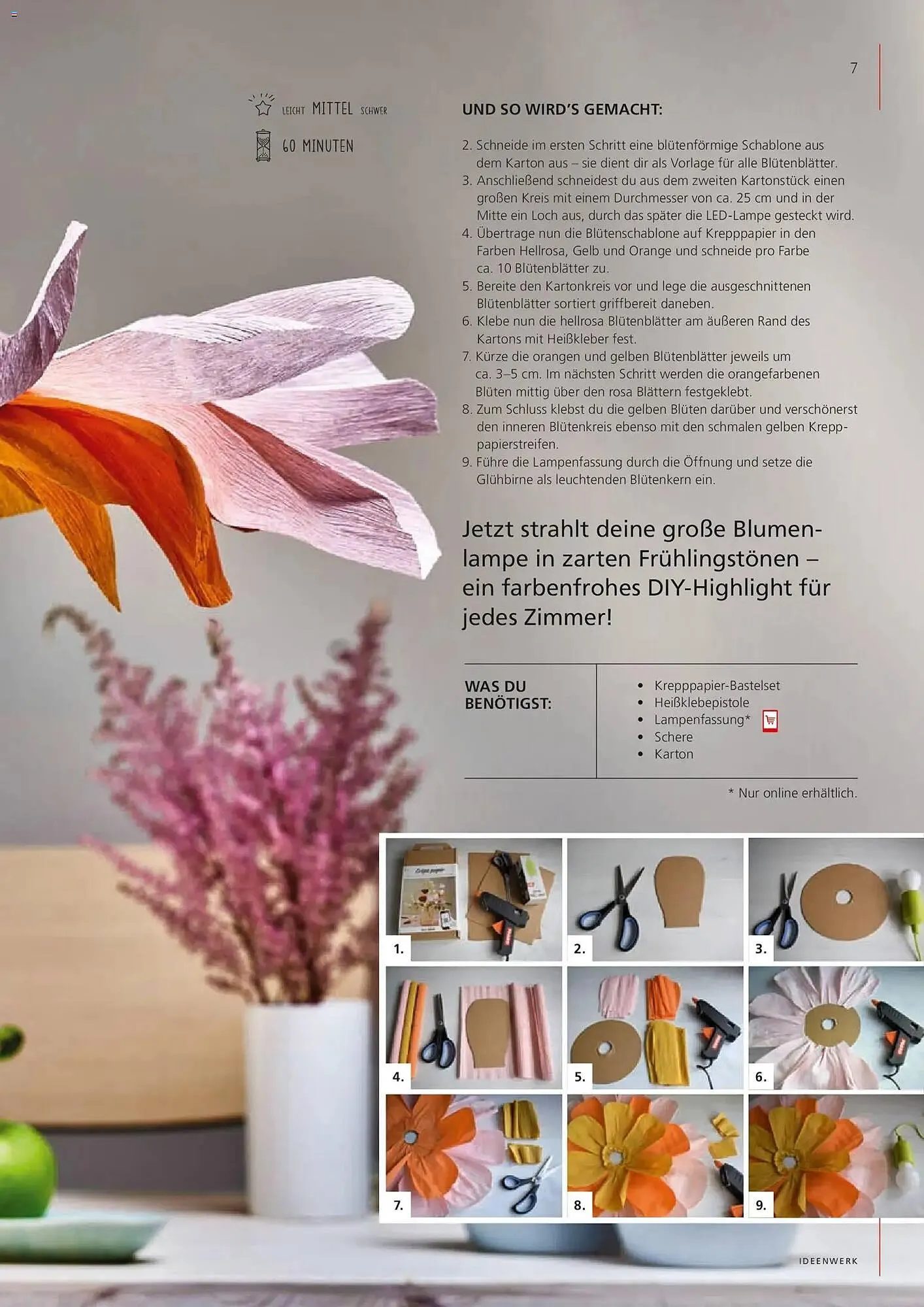 Pagro Diskont Flugblatt von 1. März bis 30. April 2026 - Flugblätt seite  7