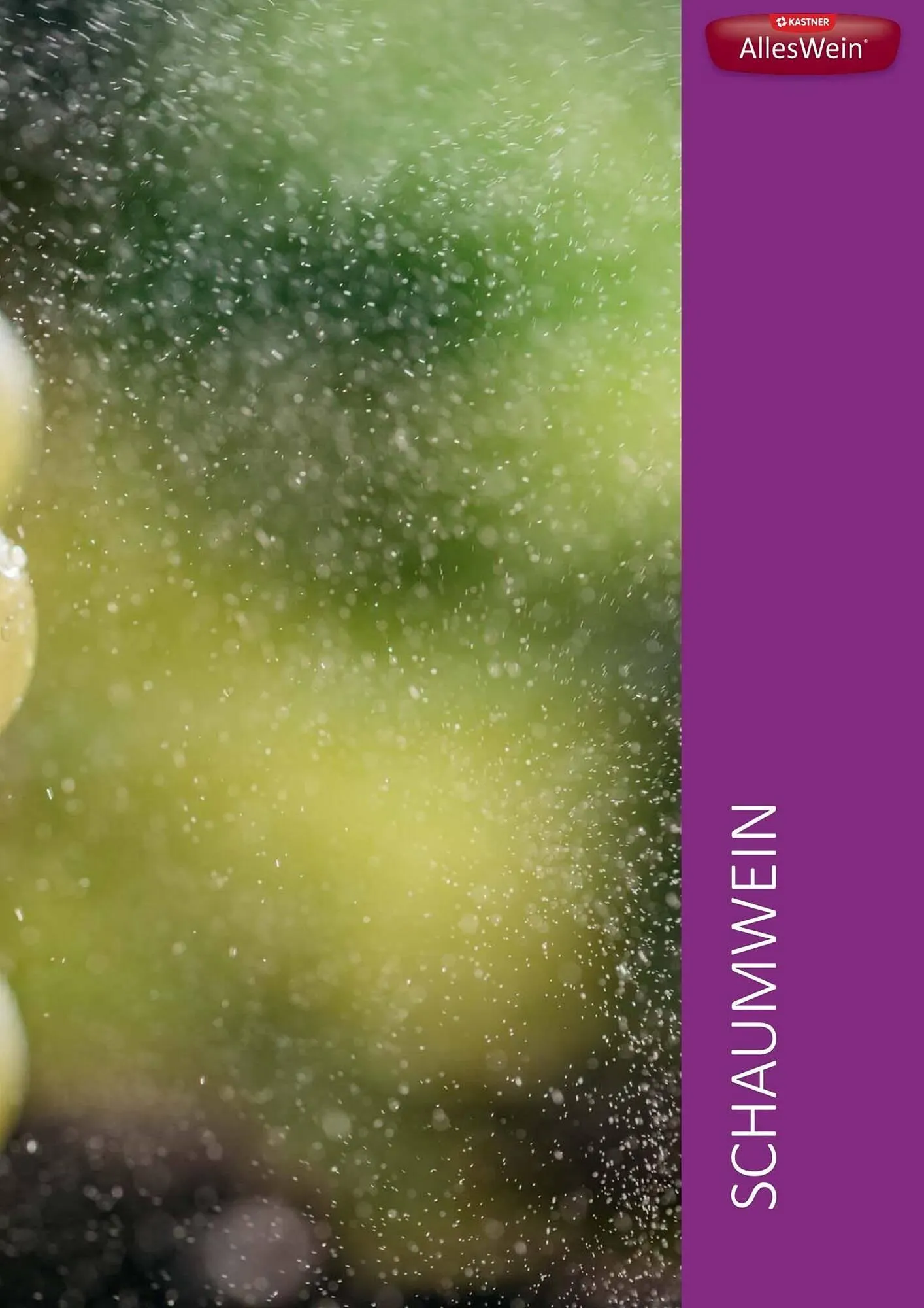 Kastner Flugblatt von 1. Juli bis 30. Dezember 2024 - Flugblätt seite 209