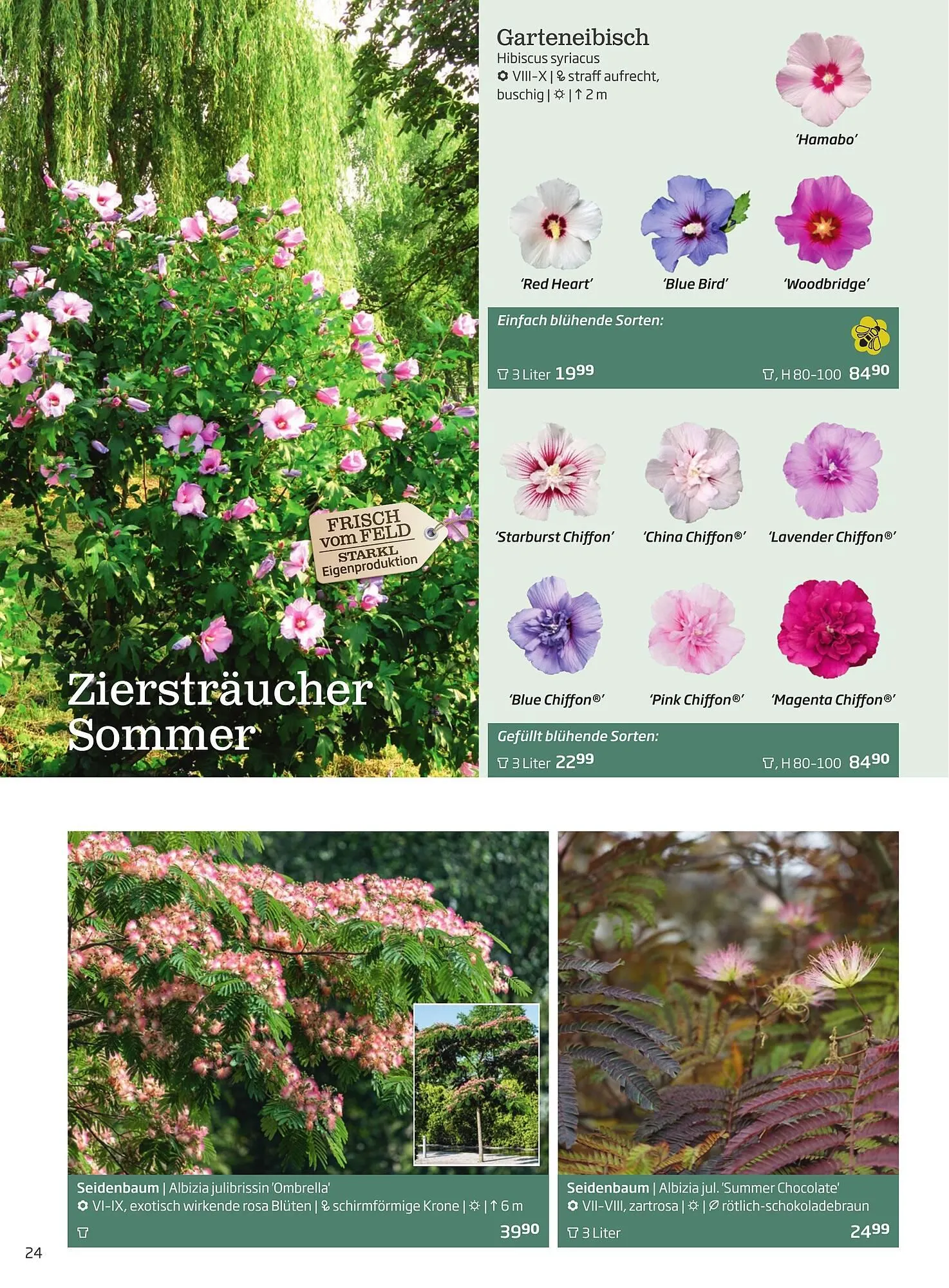 Starkl Flugblatt von 6. Juni bis 31. Dezember 2025 - Flugblätt seite  24