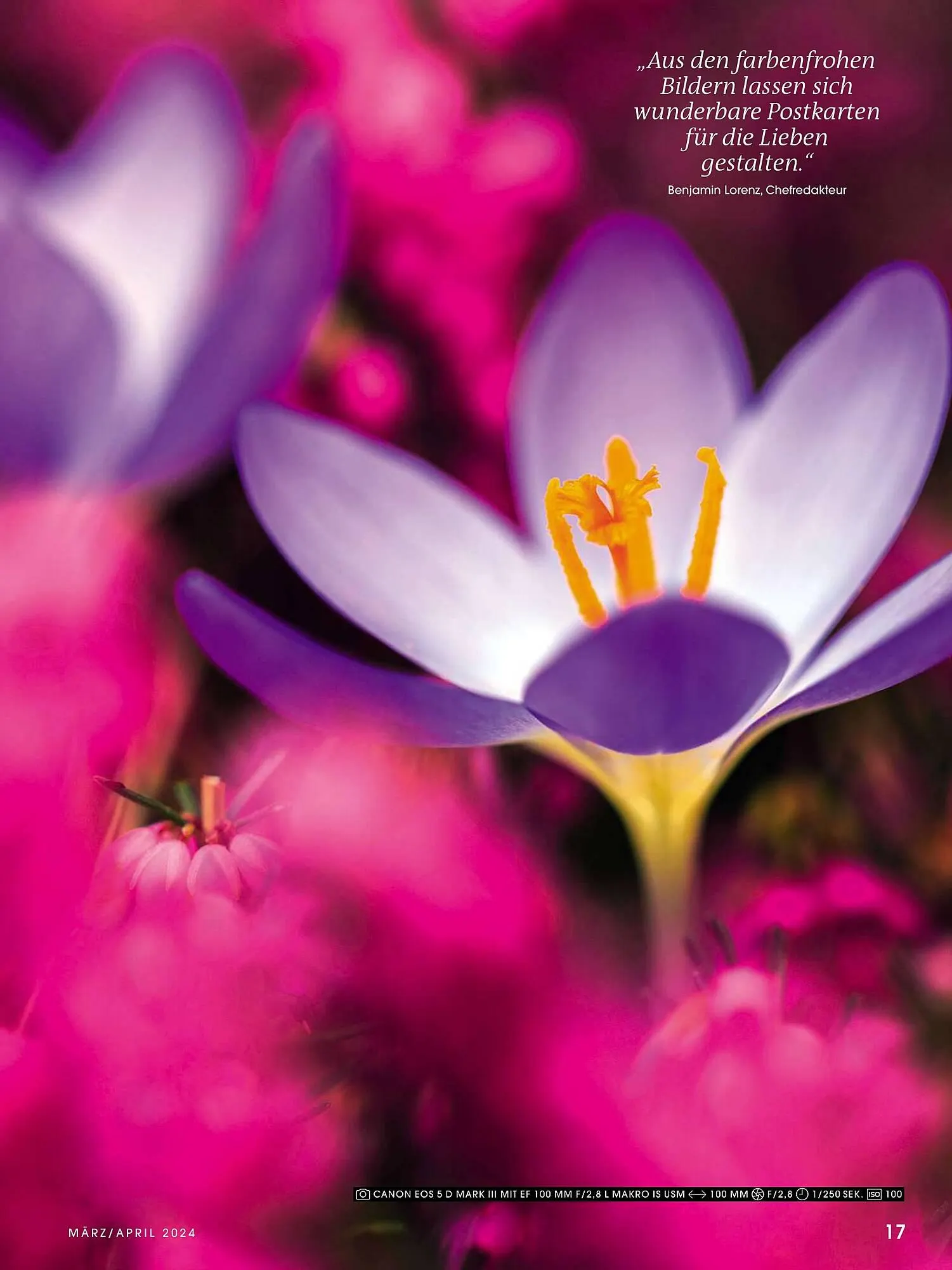 RINGFOTO Flugblatt von 1. März bis 30. April 2024 - Flugblätt seite  17