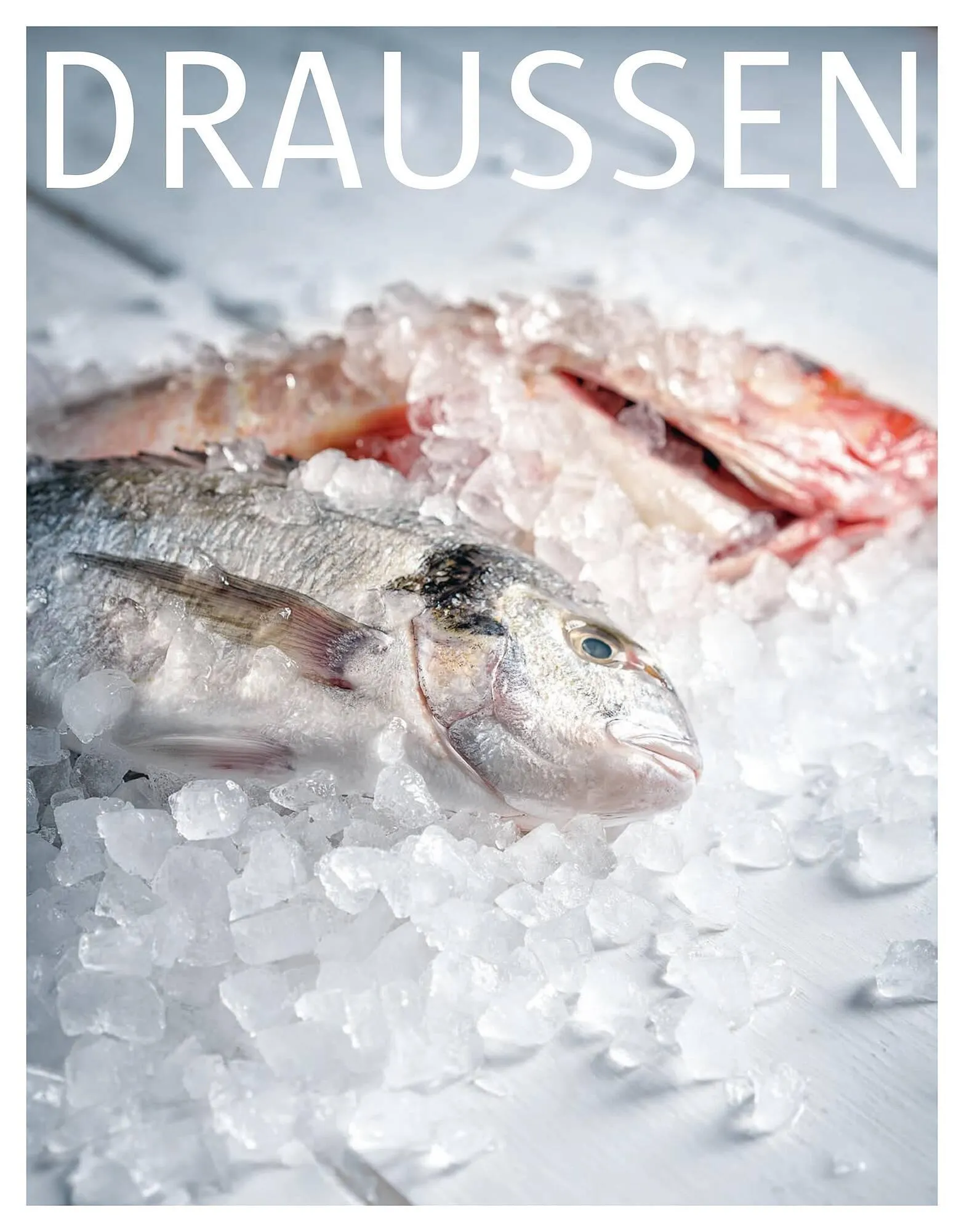 Sutterlüty Flugblatt von 19. November bis 9. Dezember 2024 - Flugblätt seite  147