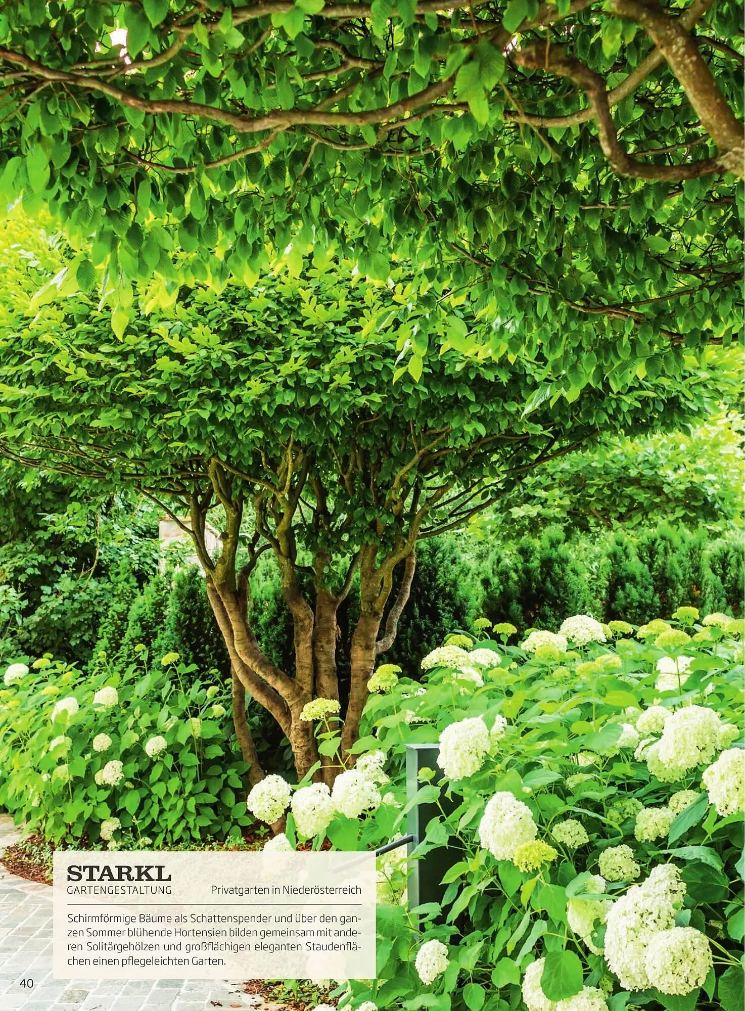 Starkl Flugblatt von 6. Juni bis 31. Dezember 2025 - Flugblätt seite 40