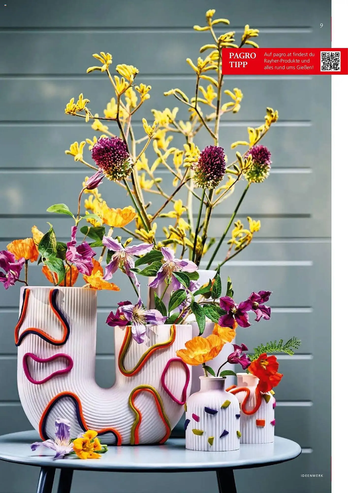 Pagro Diskont Flugblatt von 1. März bis 30. April 2026 - Flugblätt seite  9