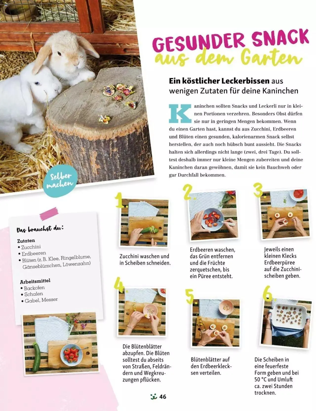 Fressnapf Friends 03/24 von 1. April bis 31. Dezember 2024 - Flugblätt seite 46