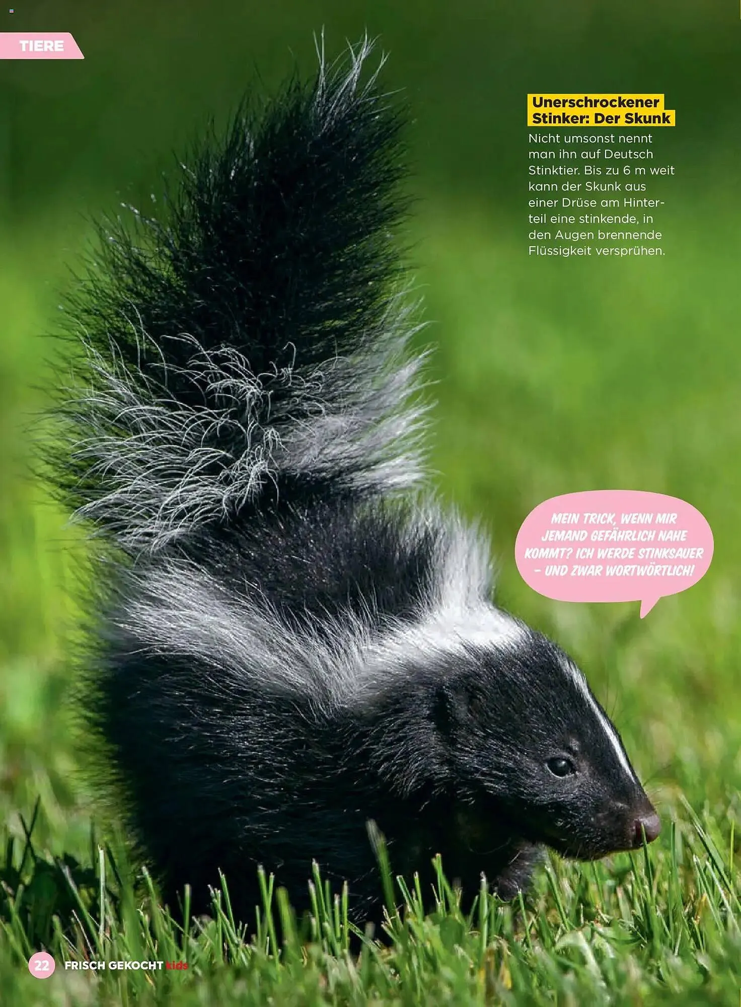 Billa Flugblatt von 1. März bis 31. Mai 2026 - Flugblätt seite  22