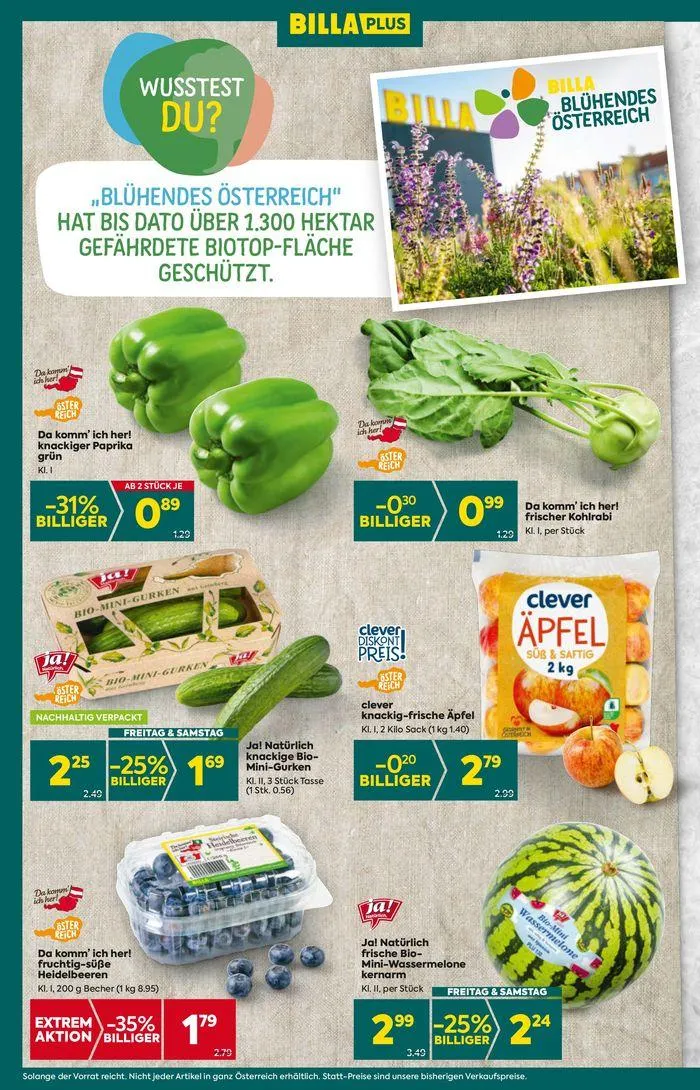 BILLA PLUS Flugblatt von 7. August bis 21. August 2024 - Flugblätt seite 8