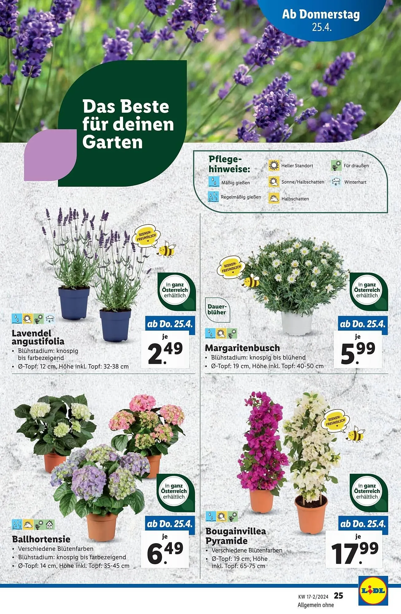 Lidl Flugblatt von 24. April bis 30. April 2024 - Flugblätt seite  27