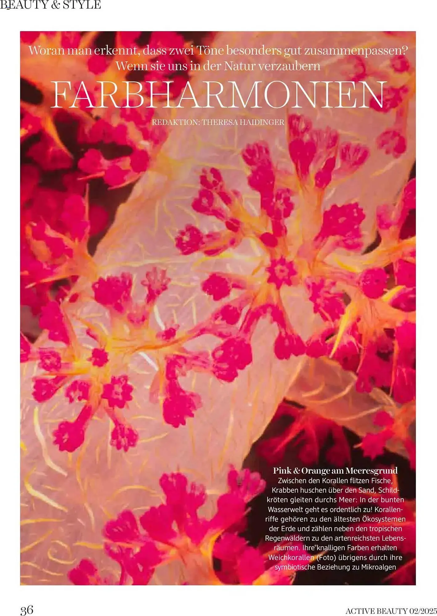 dm Flugblatt von 5. Februar bis 28. Februar 2025 - Flugblätt seite  36