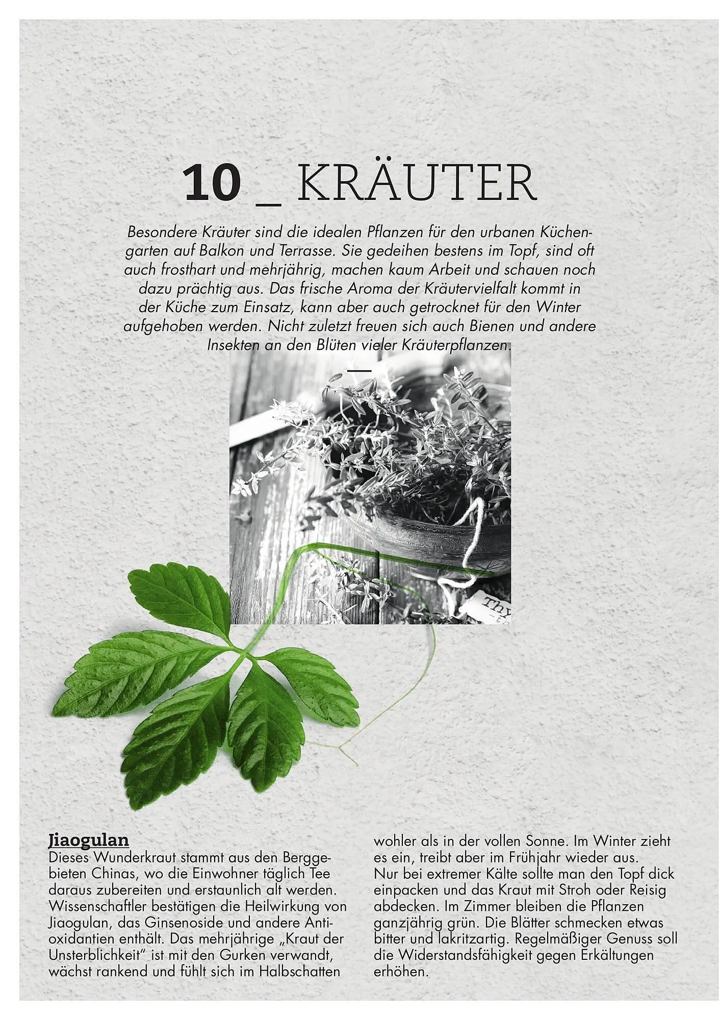 Bellaflora Flugblatt von 3. Jänner bis 31. Mai 2025 - Flugblätt seite 10