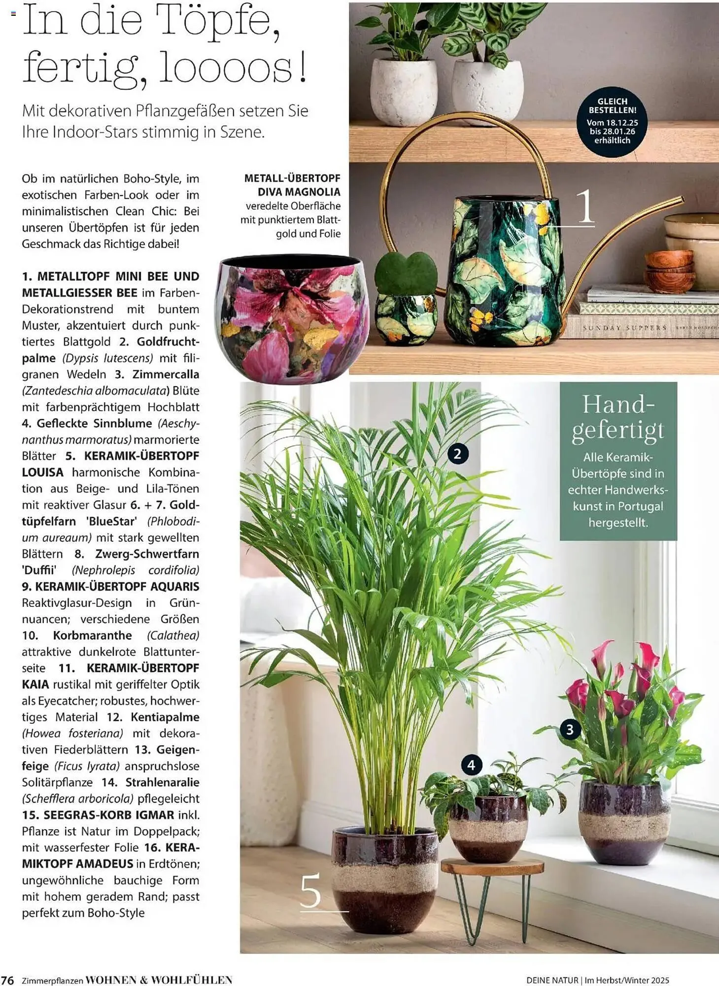 Dehner Flugblatt von 10. Oktober bis 30. November 2025 - Flugblätt seite 76