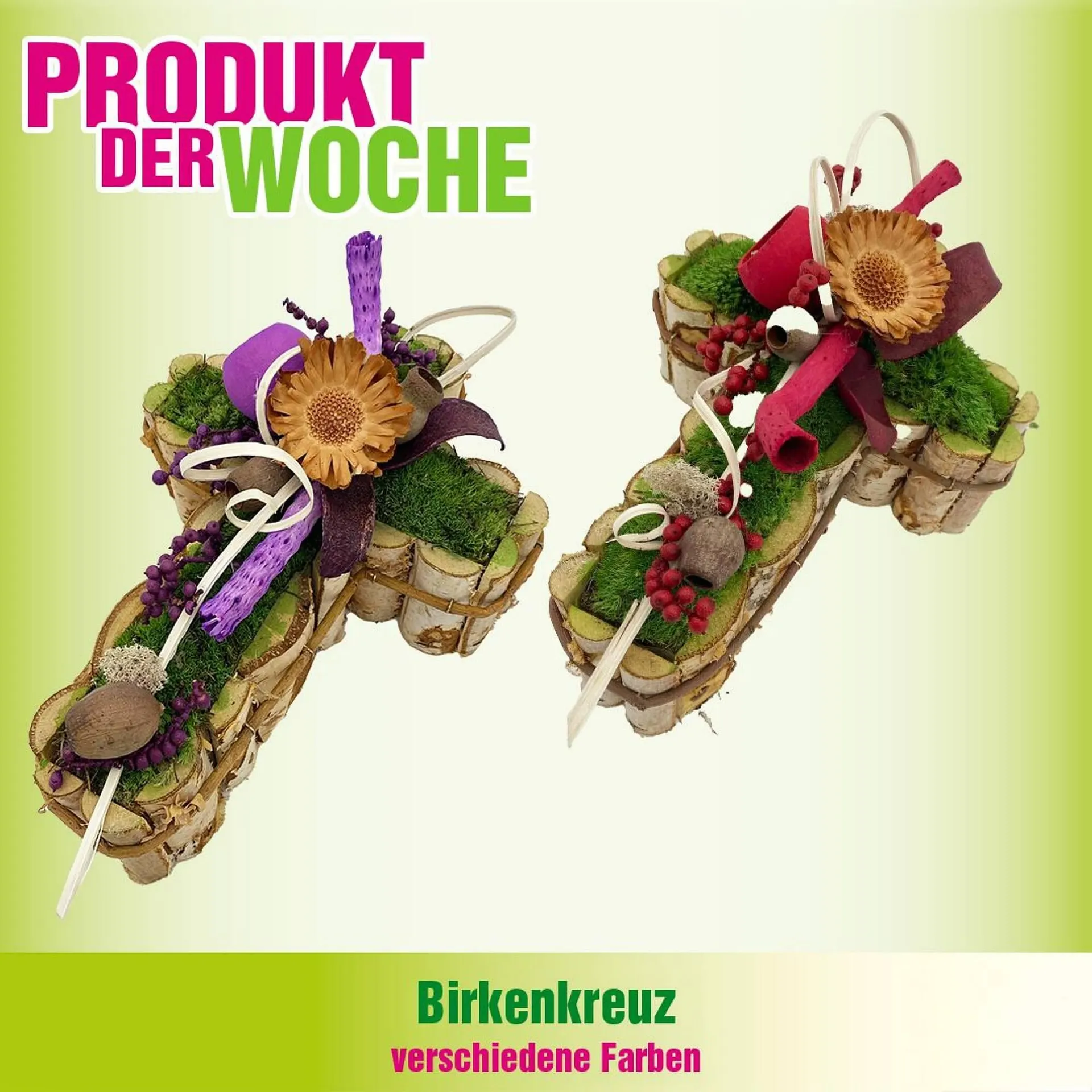 Blumen B&B Flugblatt von 28. Oktober bis 3. November 2025 - Flugblätt seite 2