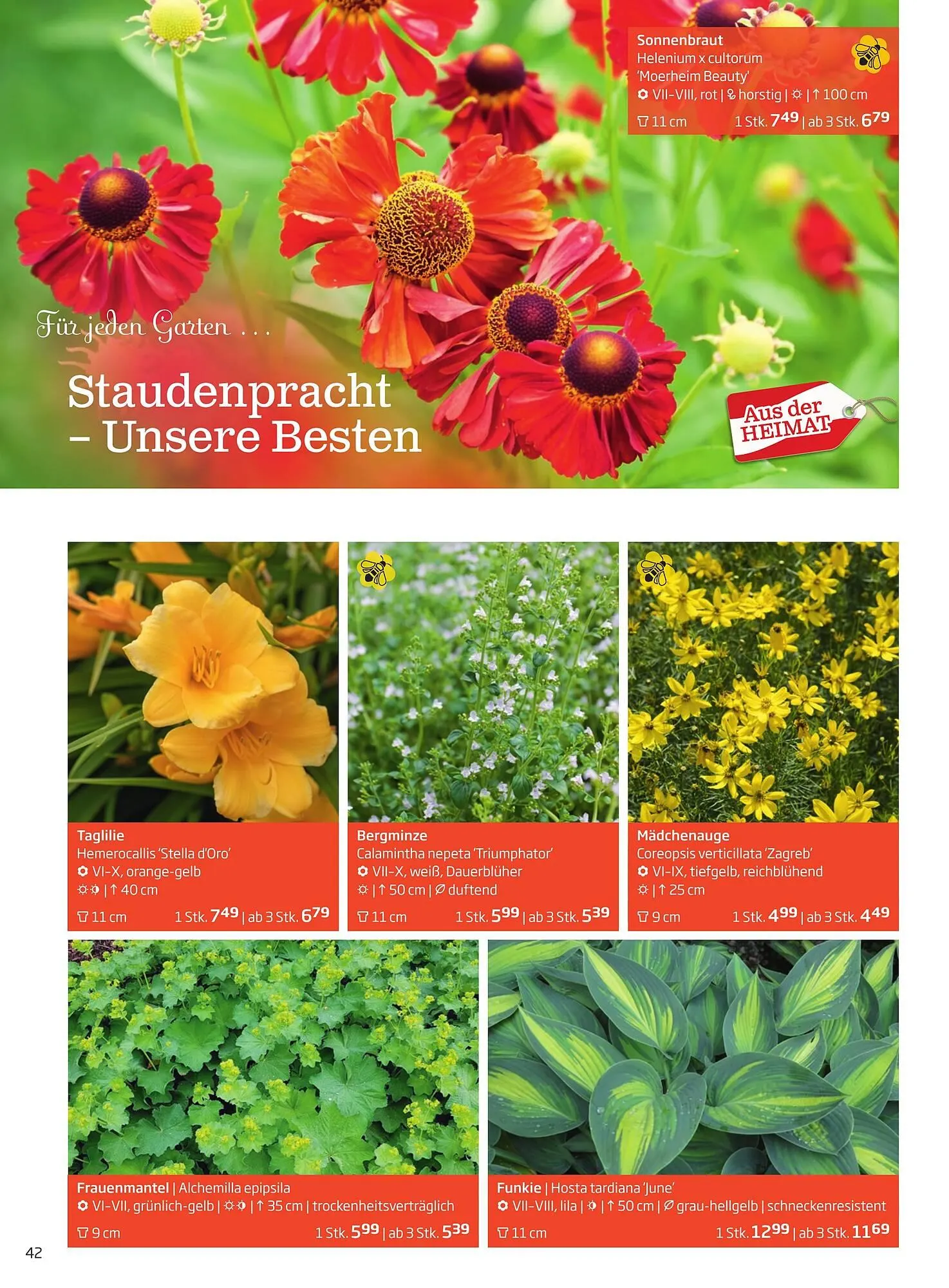 Starkl Flugblatt von 6. Juni bis 31. Dezember 2025 - Flugblätt seite  42