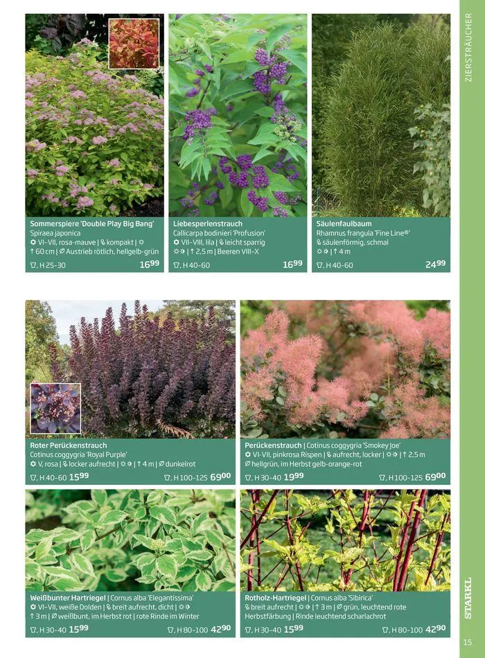 Gartencenter Jahreskatalog 2024 von 20. Mai bis 31. Dezember 2024 - Flugblätt seite 15