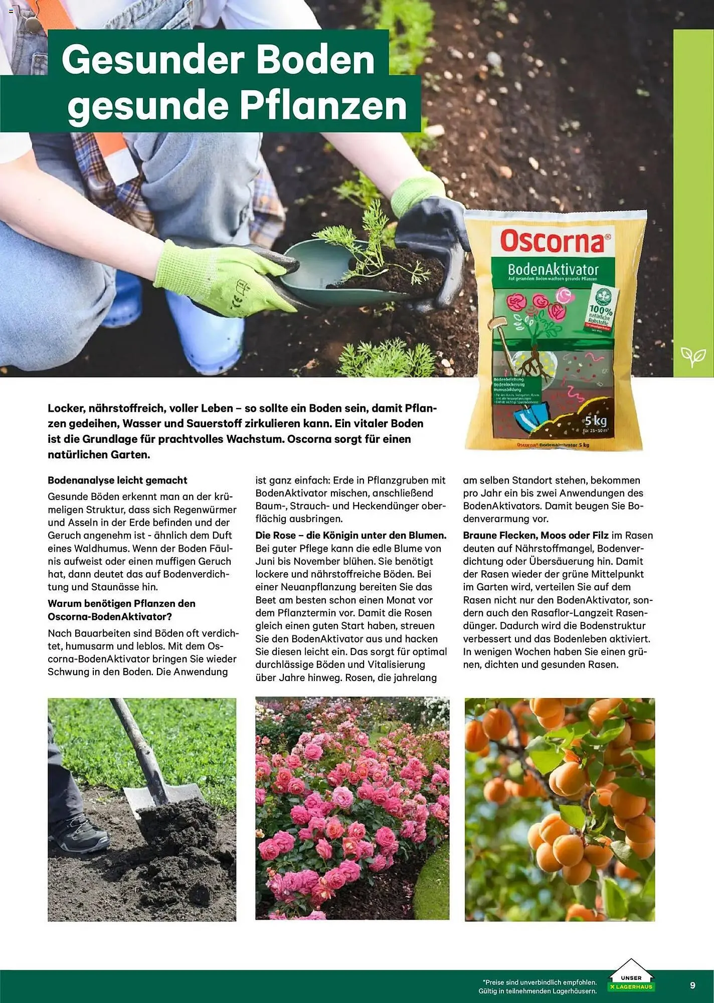 Lagerhaus Flugblatt von 22. Februar bis 31. Mai 2026 - Flugblätt seite 9