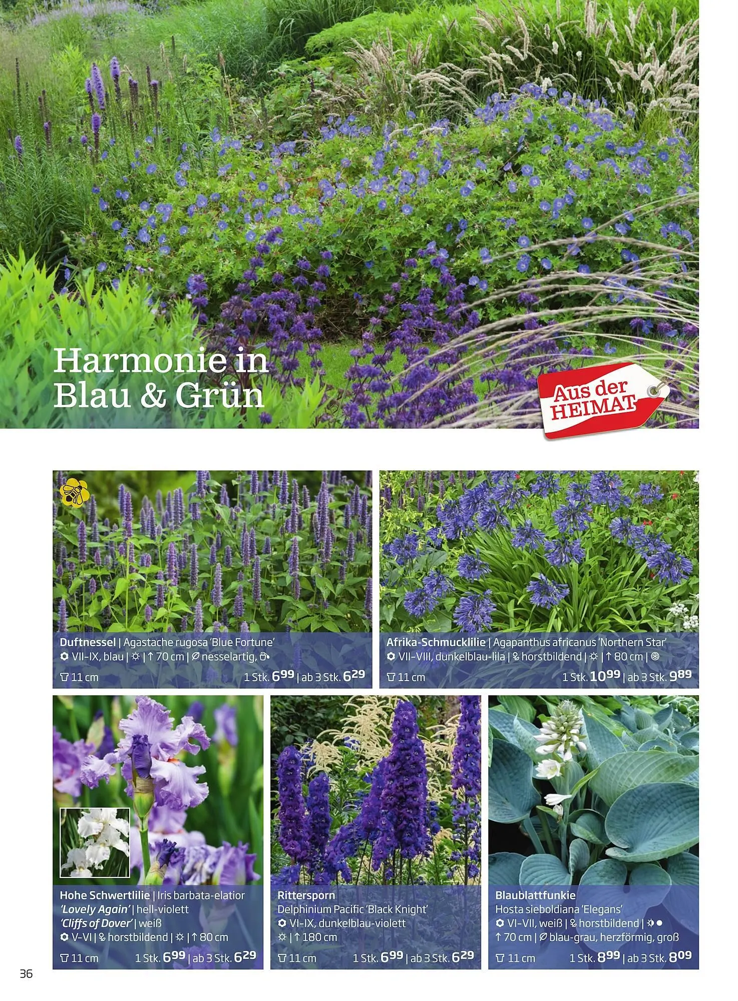 Starkl Flugblatt von 1. Jänner bis 31. Dezember 2023 - Flugblätt seite 36