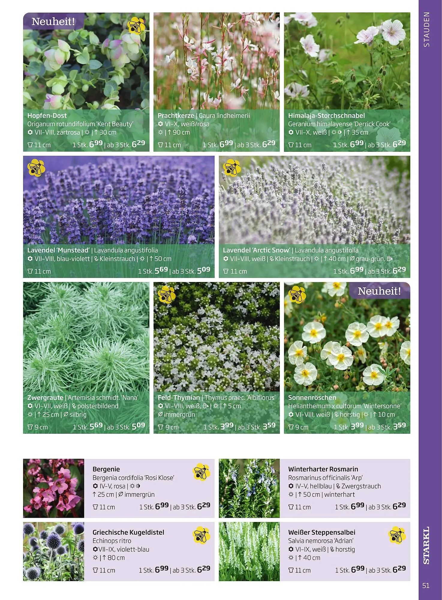 Starkl Flugblatt von 1. Jänner bis 31. Dezember 2023 - Flugblätt seite  51