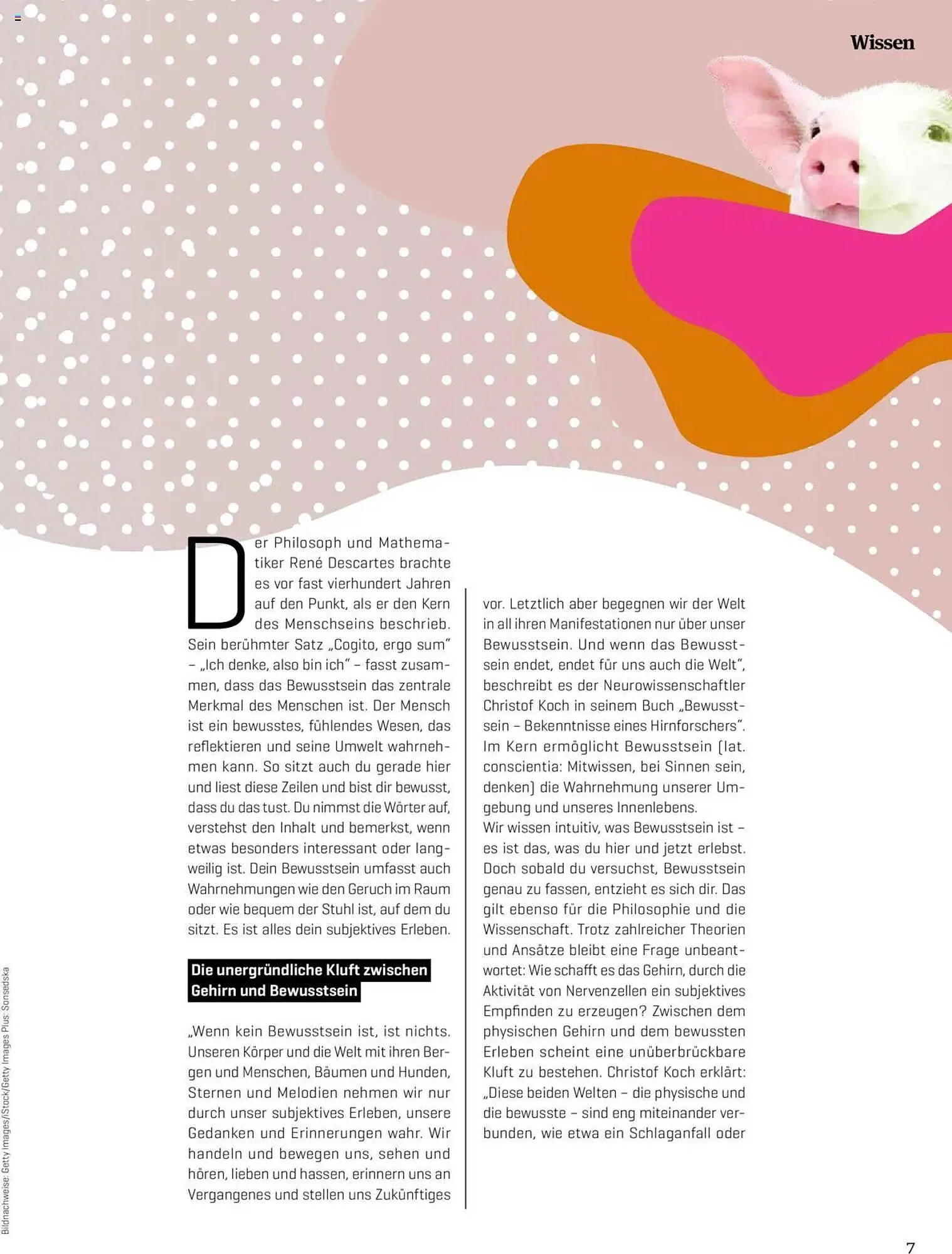 Denn's Biomarkt Flugblatt von 11. Februar bis 6. August 2025 - Flugblätt seite 7