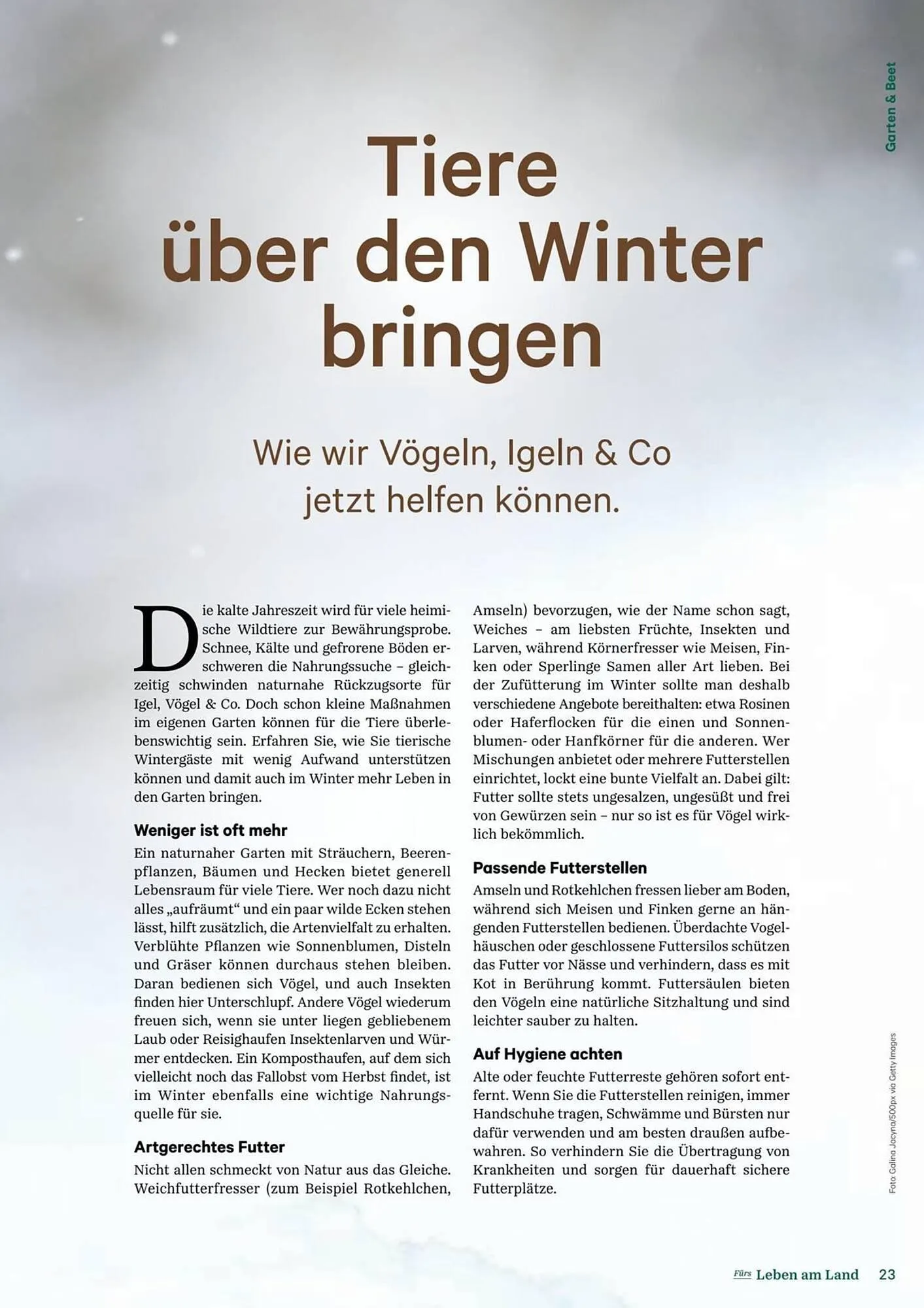 Lagerhaus Flugblatt von 11. Dezember bis 6. Februar 2026 - Flugblätt seite  23