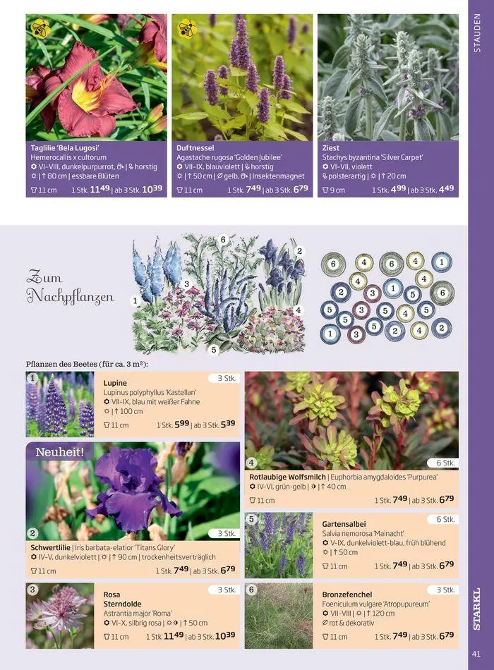 Gartencenter Jahreskatalog 2024 von 20. Mai bis 31. Dezember 2024 - Flugblätt seite  41