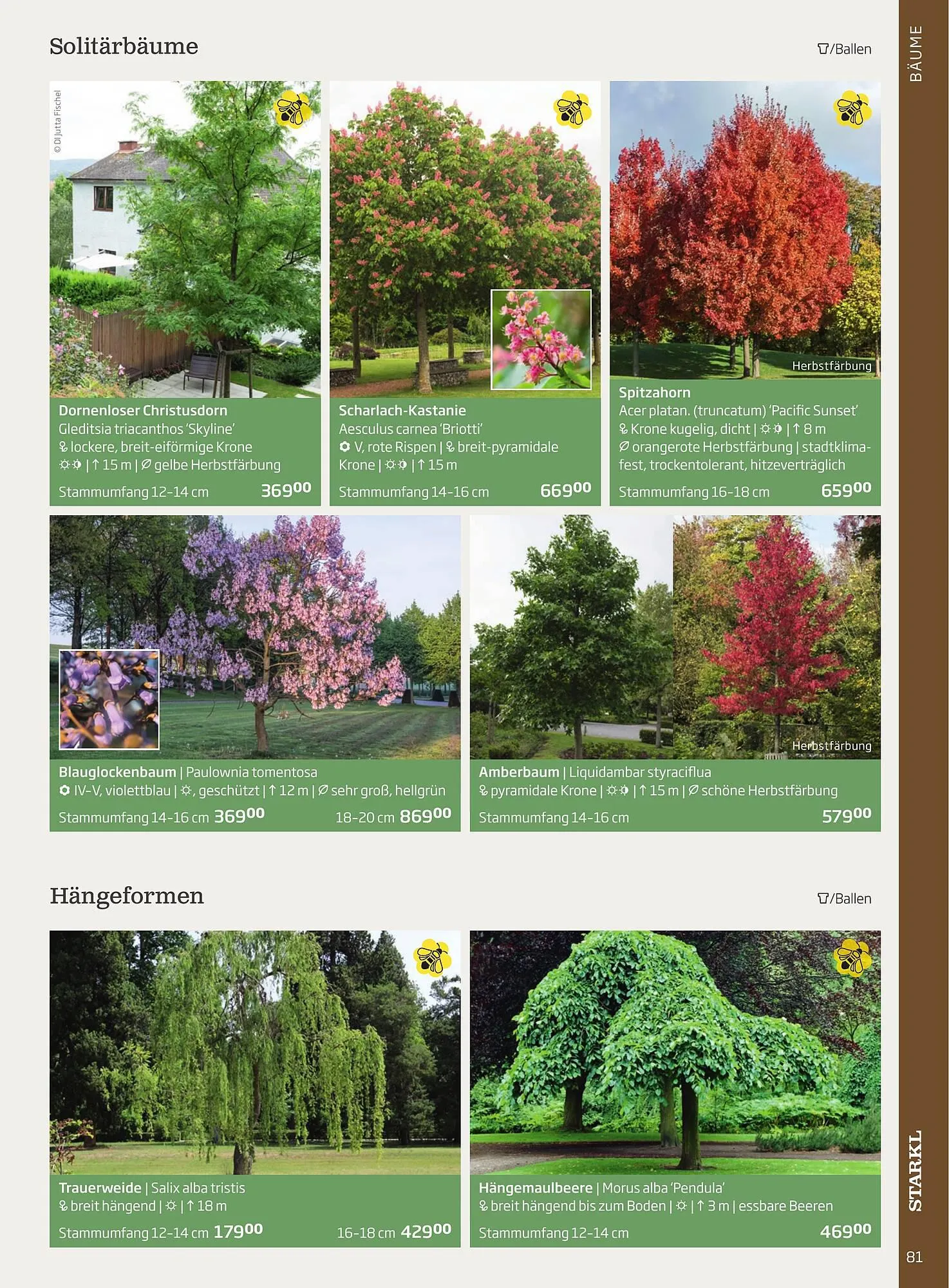 Starkl Flugblatt von 1. April bis 31. Dezember 2024 - Flugblätt seite 81
