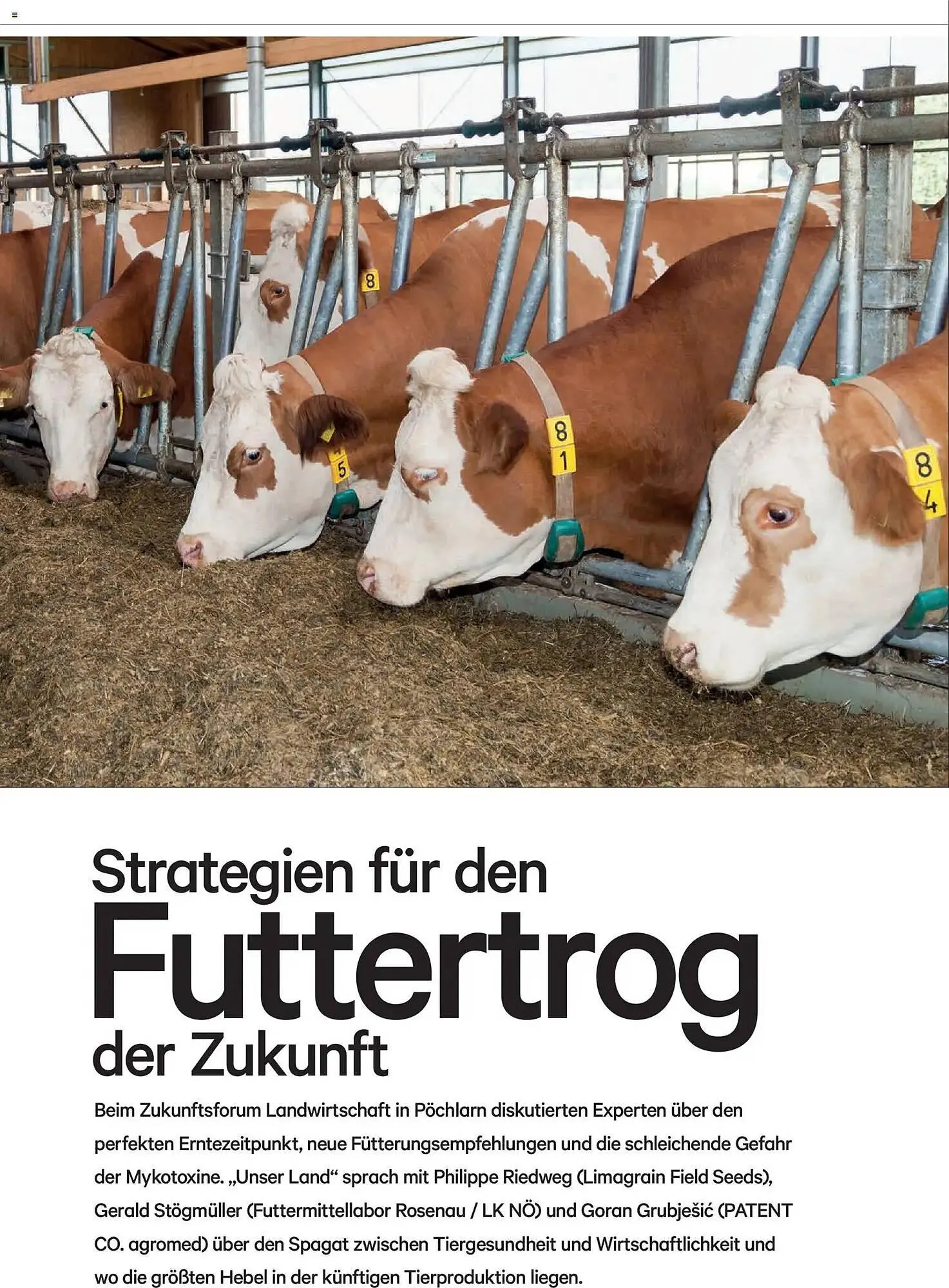 Lagerhaus Flugblatt von 1. Jänner bis 28. Februar 2026 - Flugblätt seite  38