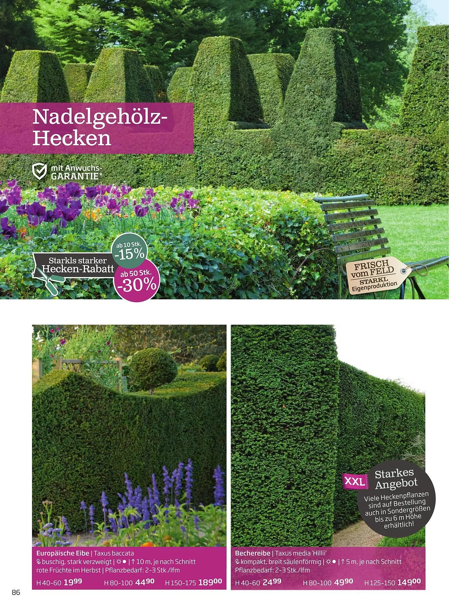 Starkl Flugblatt von 6. Juni bis 31. Dezember 2025 - Flugblätt seite 86