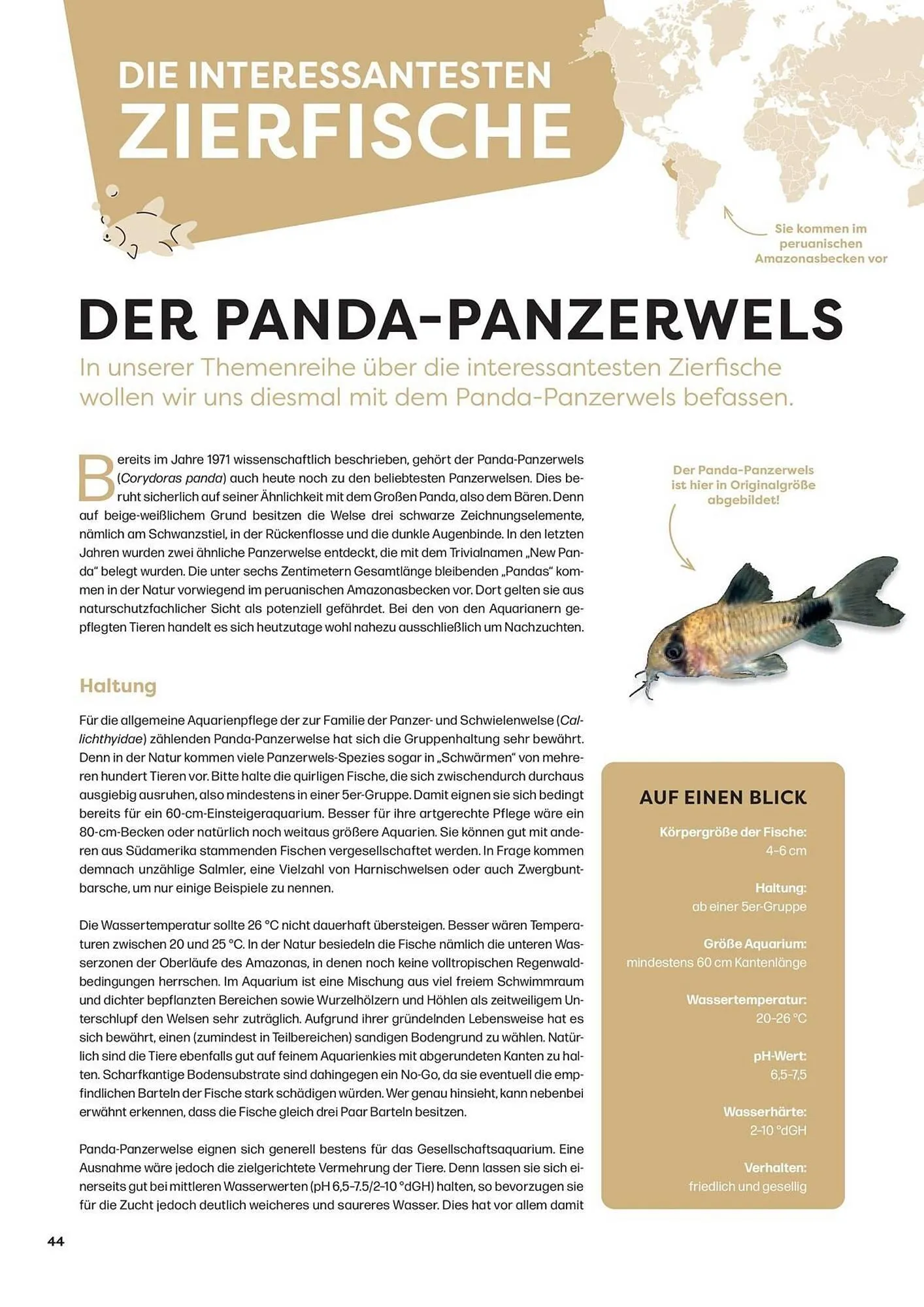 ZOO & Co Flugblatt von 30. August bis 8. November 2024 - Flugblätt seite 44