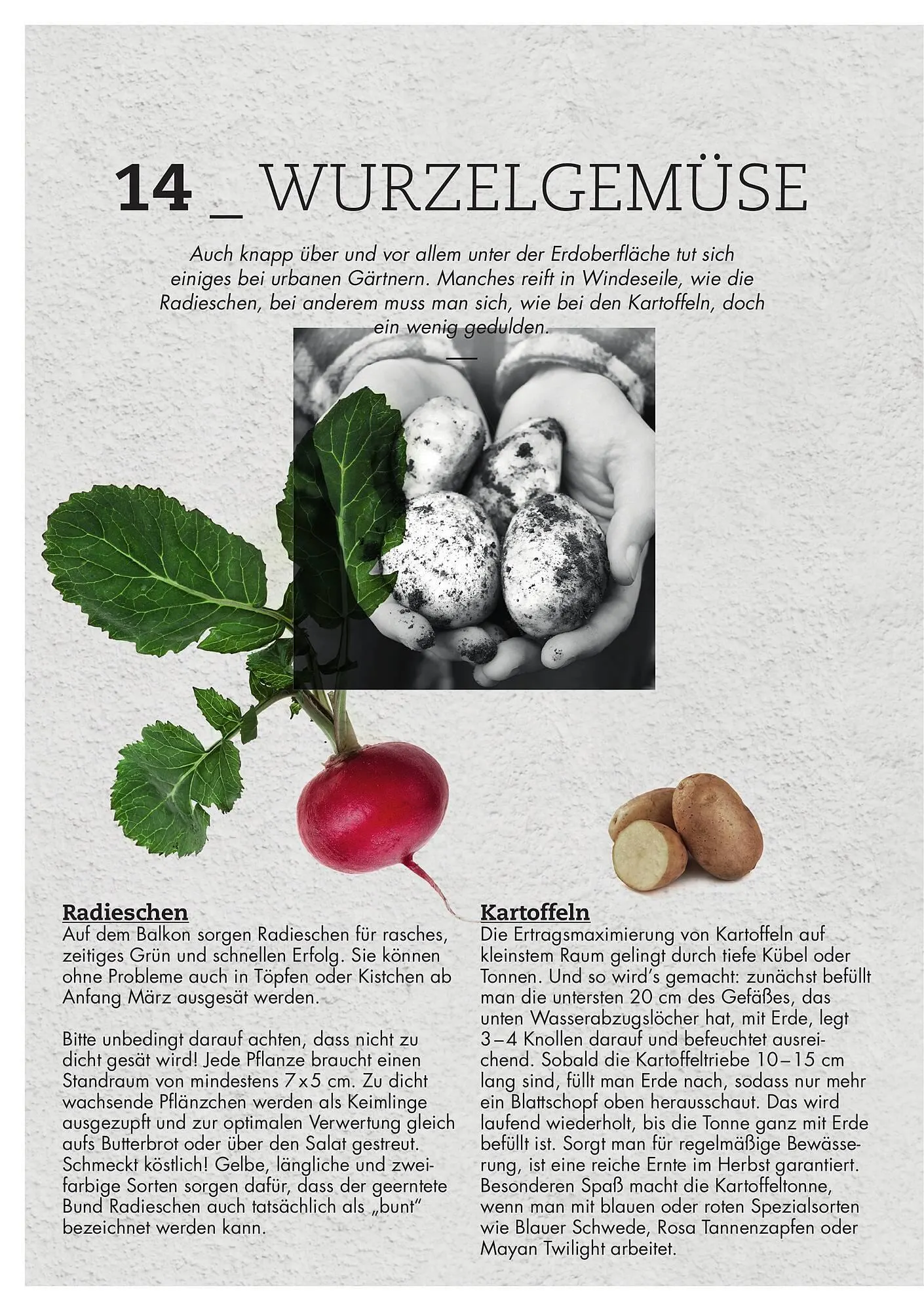 Bellaflora Flugblatt von 3. Jänner bis 31. Mai 2025 - Flugblätt seite 14