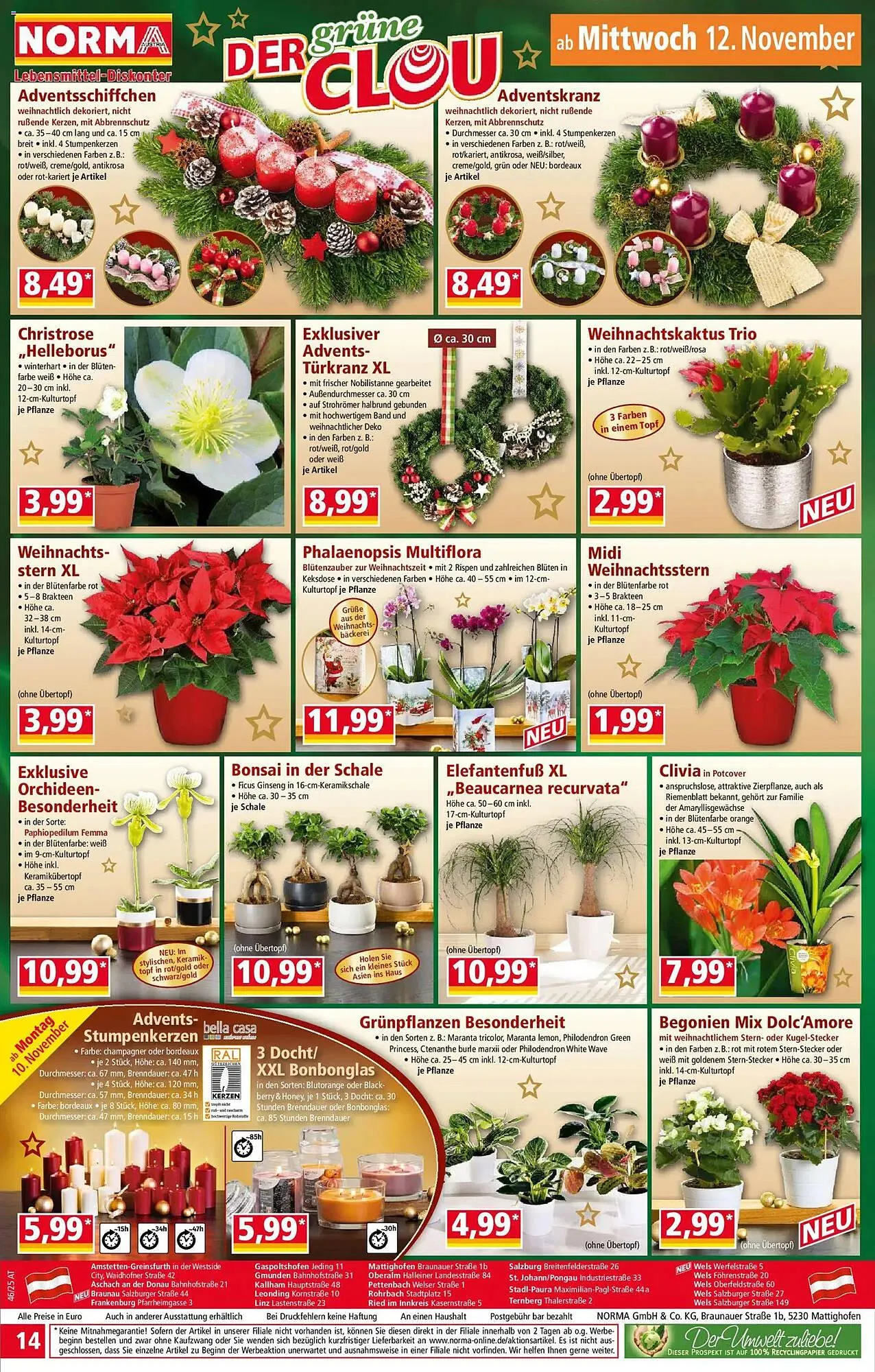 Norma Prospekt von 10. November bis 17. November 2025 - Flugblätt seite  15