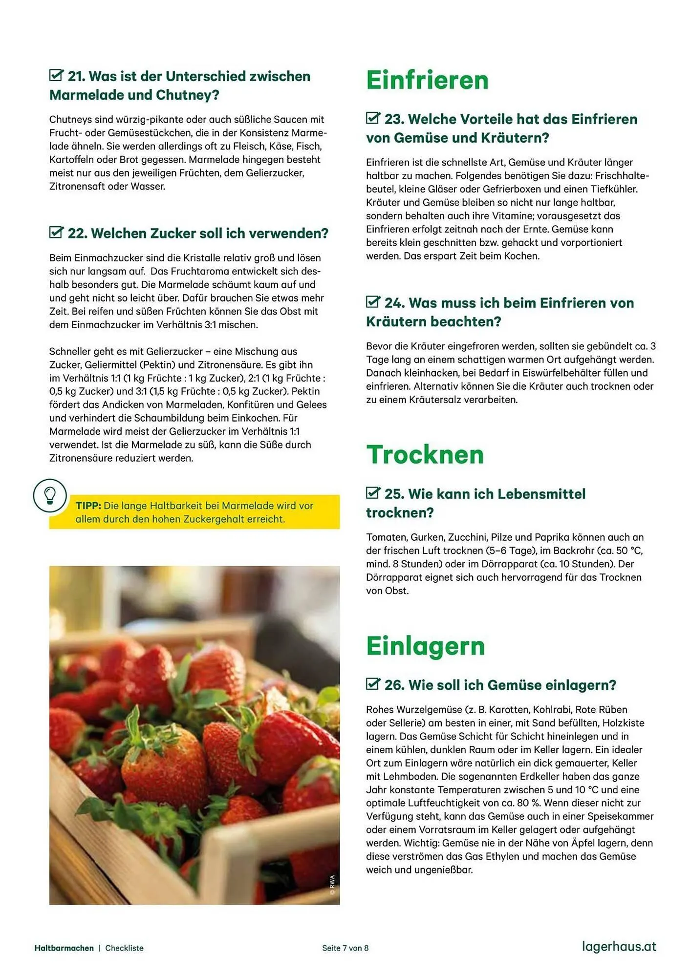 Salzburger Lagerhaus Flugblatt von 9. Oktober bis 5. November 2025 - Flugblätt seite  7