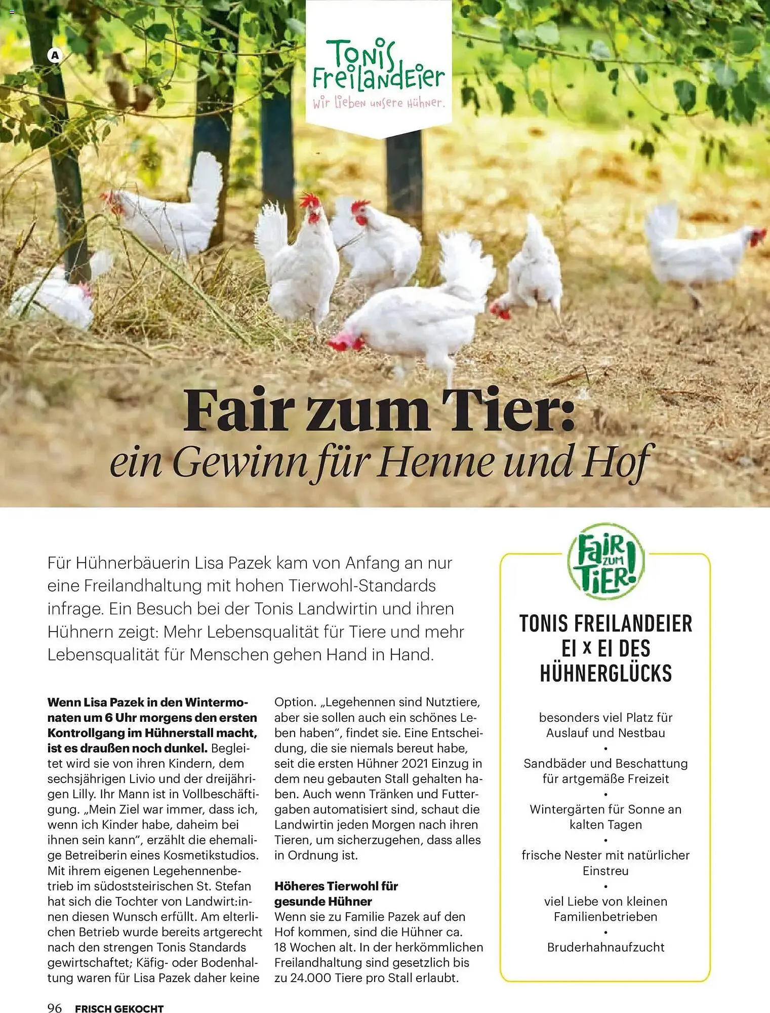 Billa Flugblatt von 1. März bis 30. April 2026 - Flugblätt seite  94