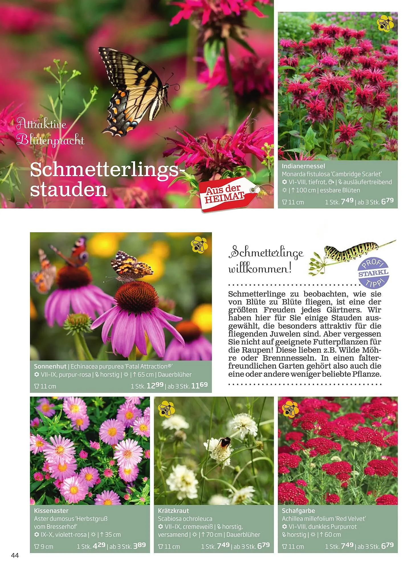 Starkl Flugblatt von 6. Juni bis 31. Dezember 2025 - Flugblätt seite 44