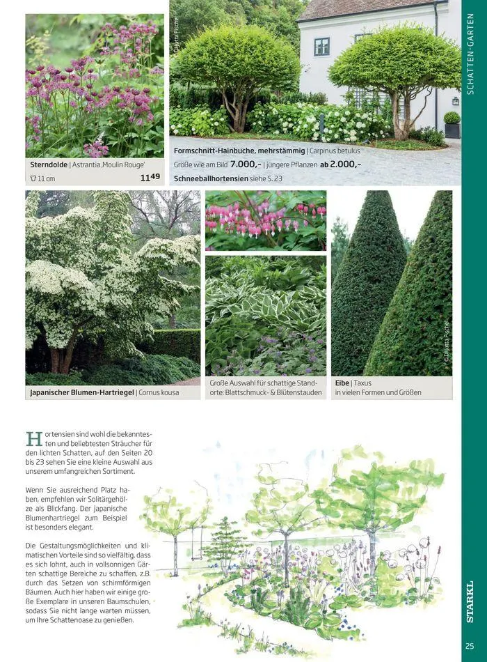 Gartencenter Jahreskatalog 2024 von 20. Mai bis 31. Dezember 2024 - Flugblätt seite  25