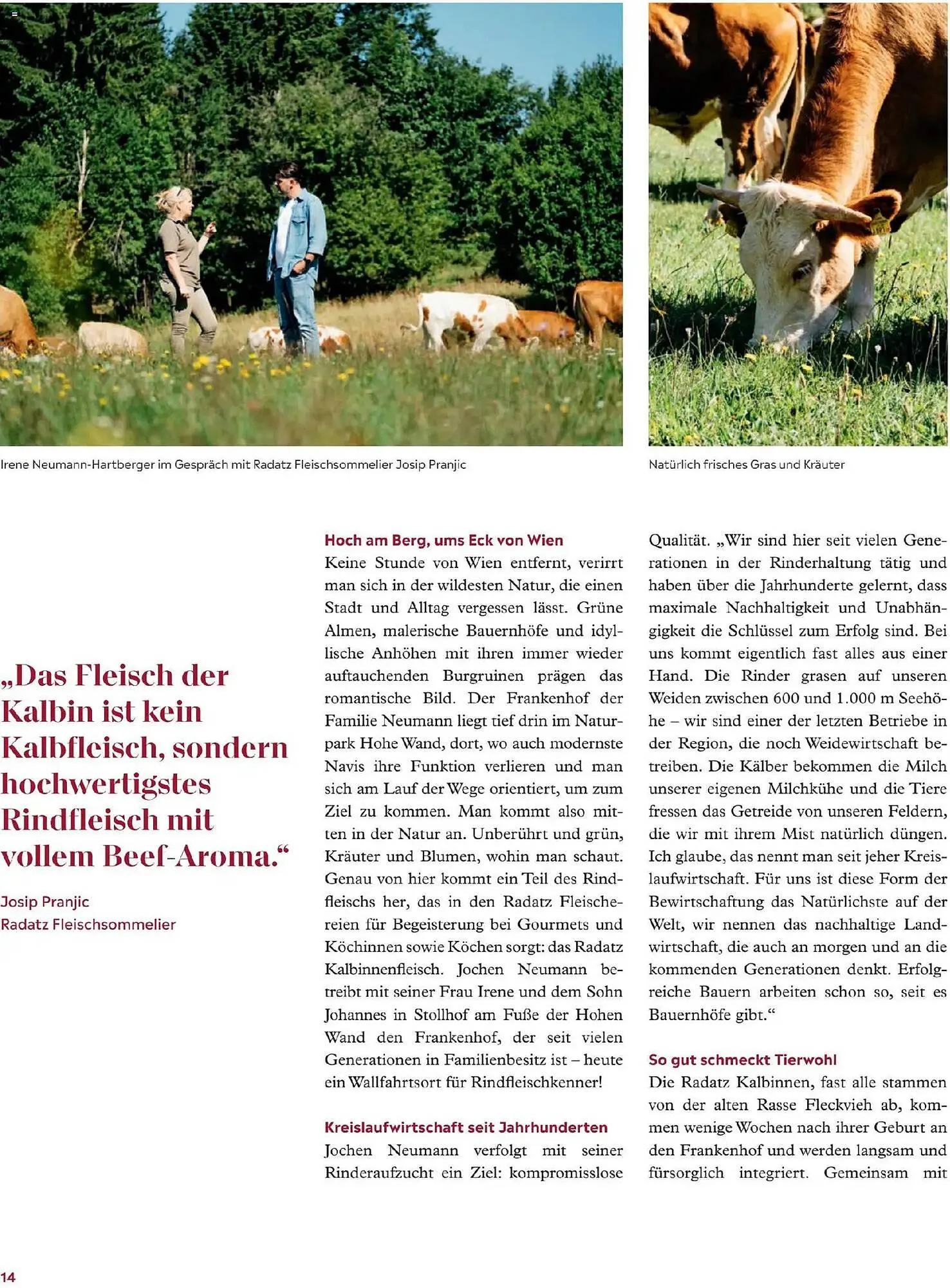 Radatz Flugblatt von 1. November bis 31. Dezember 2025 - Flugblätt seite 14