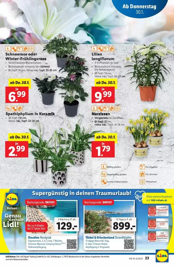 Tolles Angebot für alle Kunden von 30. Jänner bis 5. Februar 2025 - Flugblätt seite  25