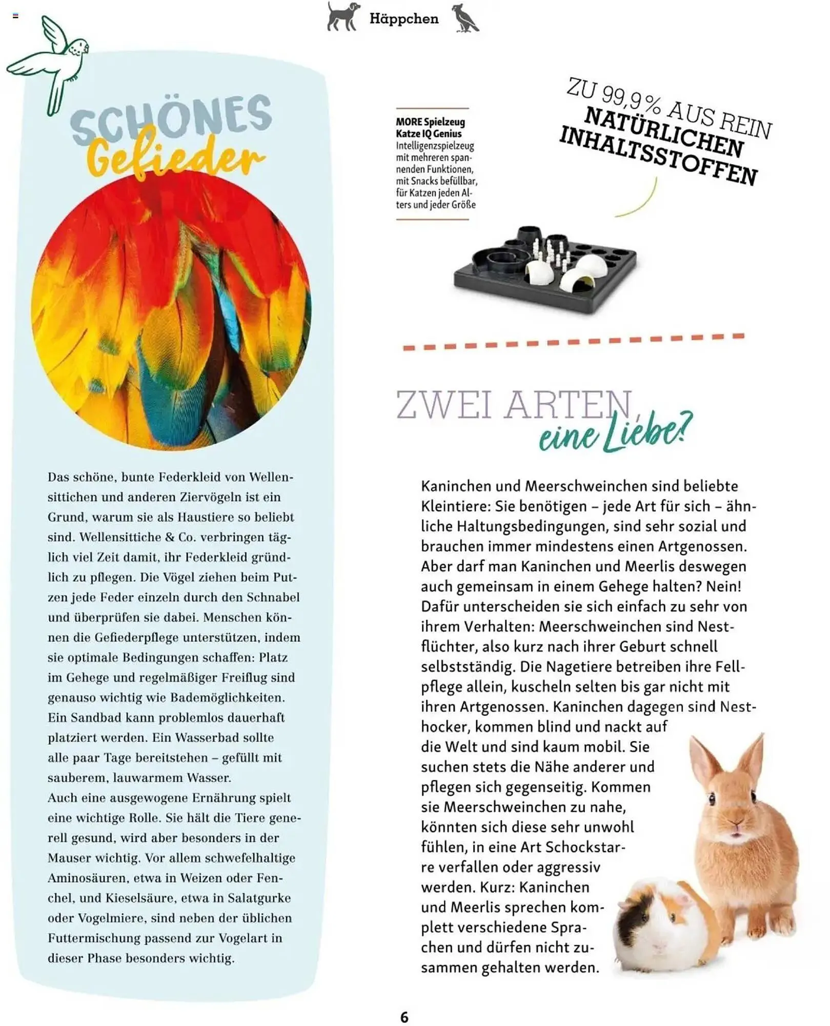 Fressnapf Flugblatt von 2. Jänner bis 2. März 2025 - Flugblätt seite 6