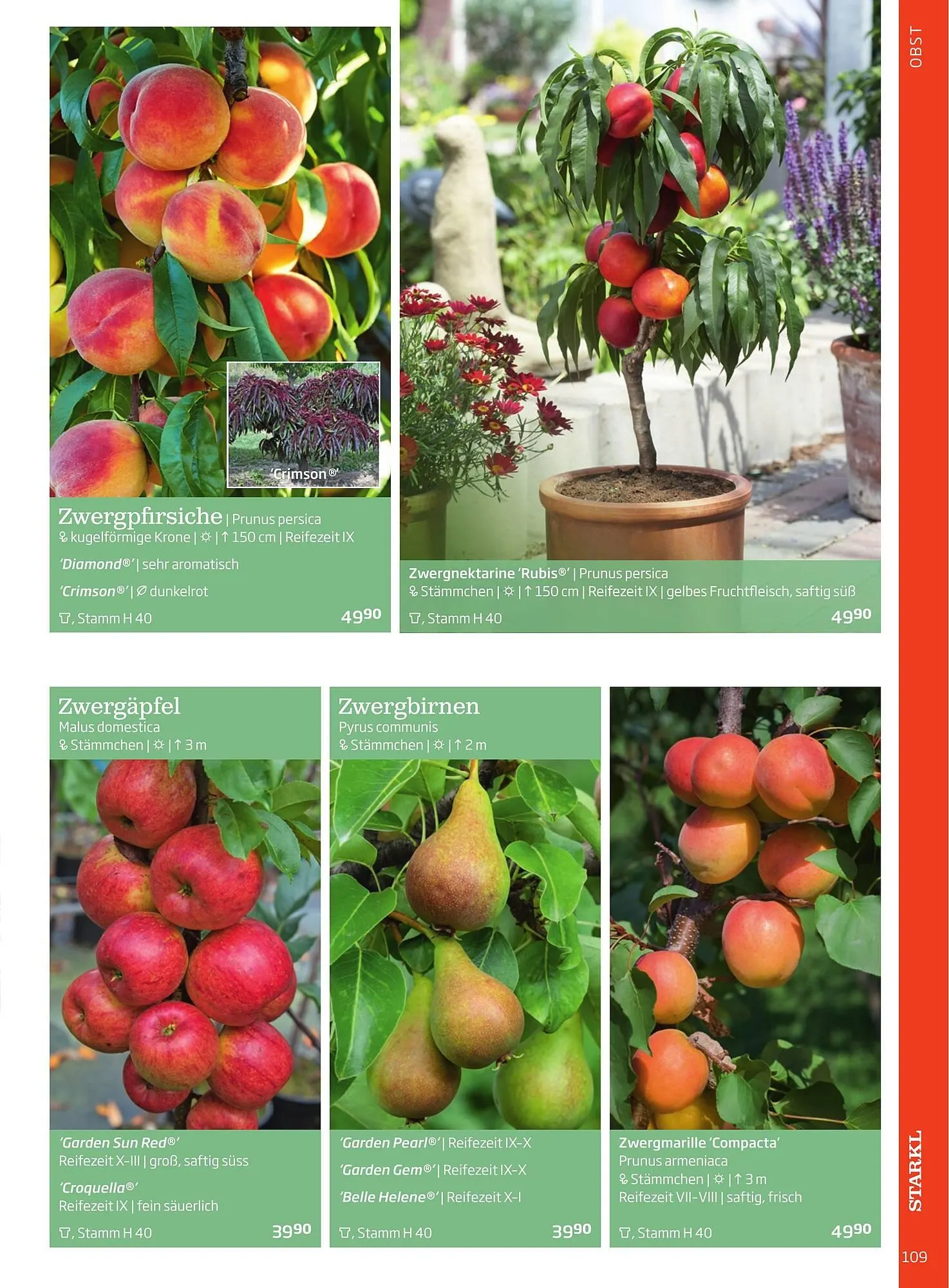 Starkl Flugblatt von 6. Juni bis 31. Dezember 2025 - Flugblätt seite 109