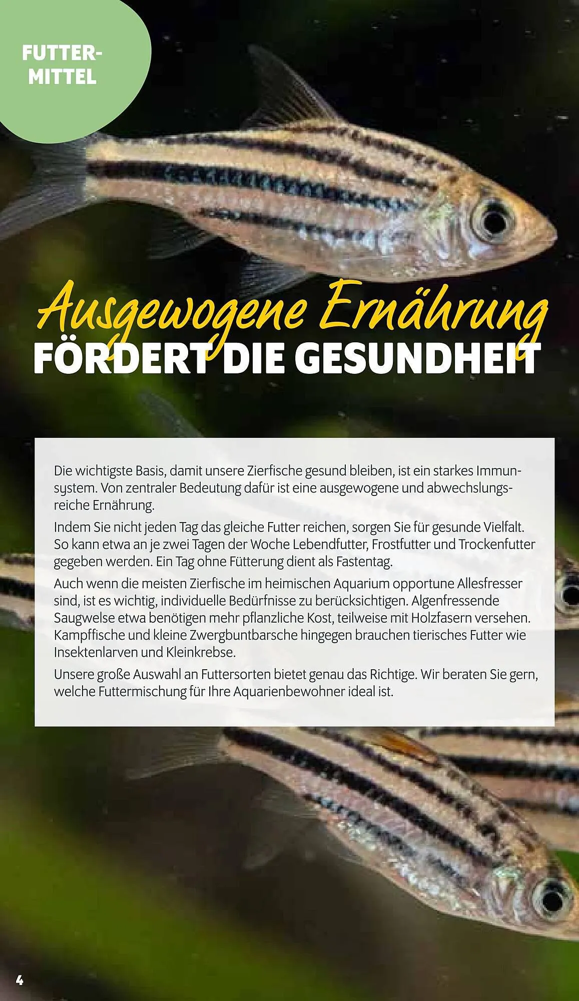 Das Futterhaus Flugblatt von 23. Februar bis 23. März 2024 - Flugblätt seite 4