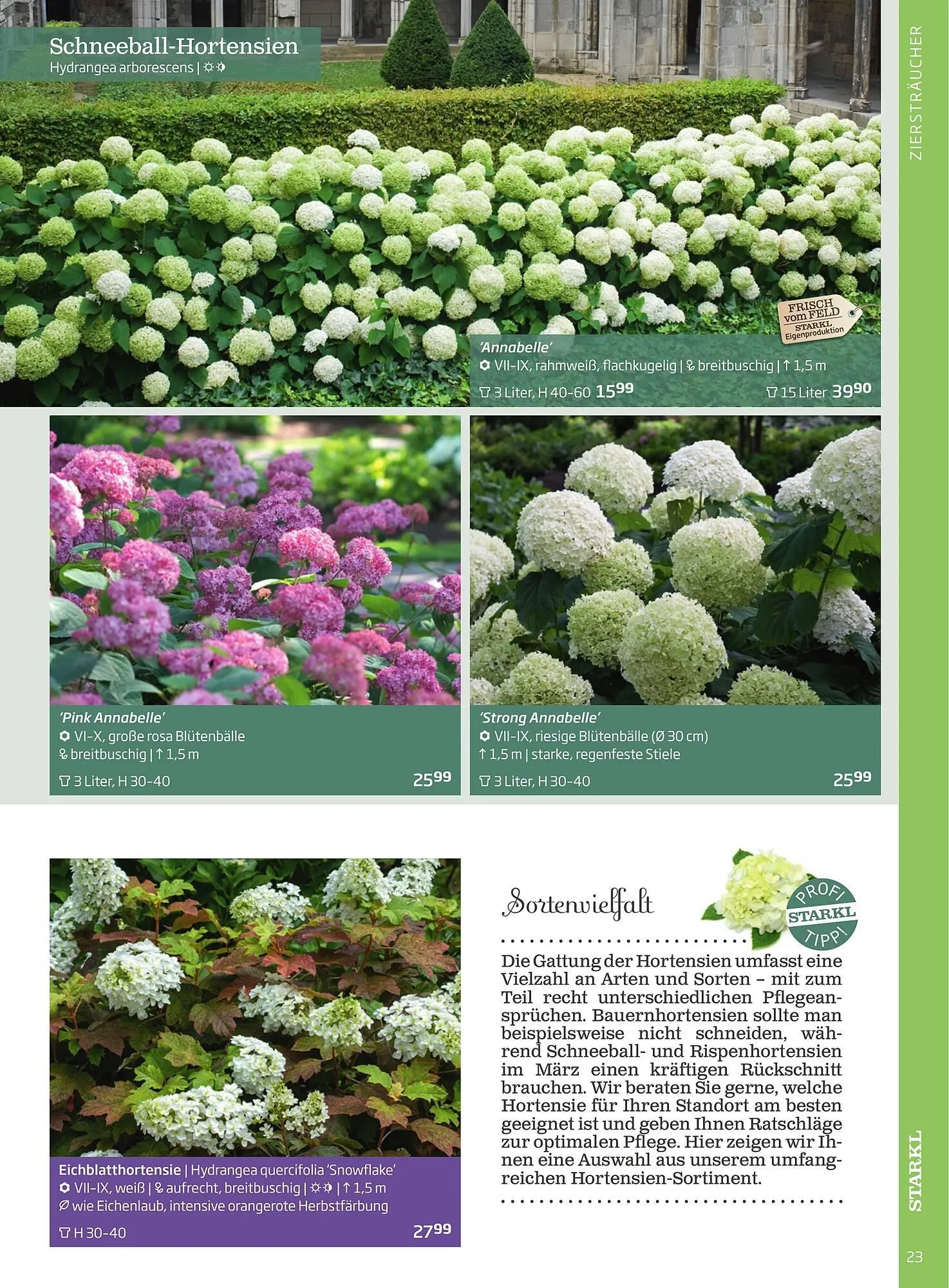 Starkl Flugblatt von 1. Jänner bis 31. Dezember 2023 - Flugblätt seite  23