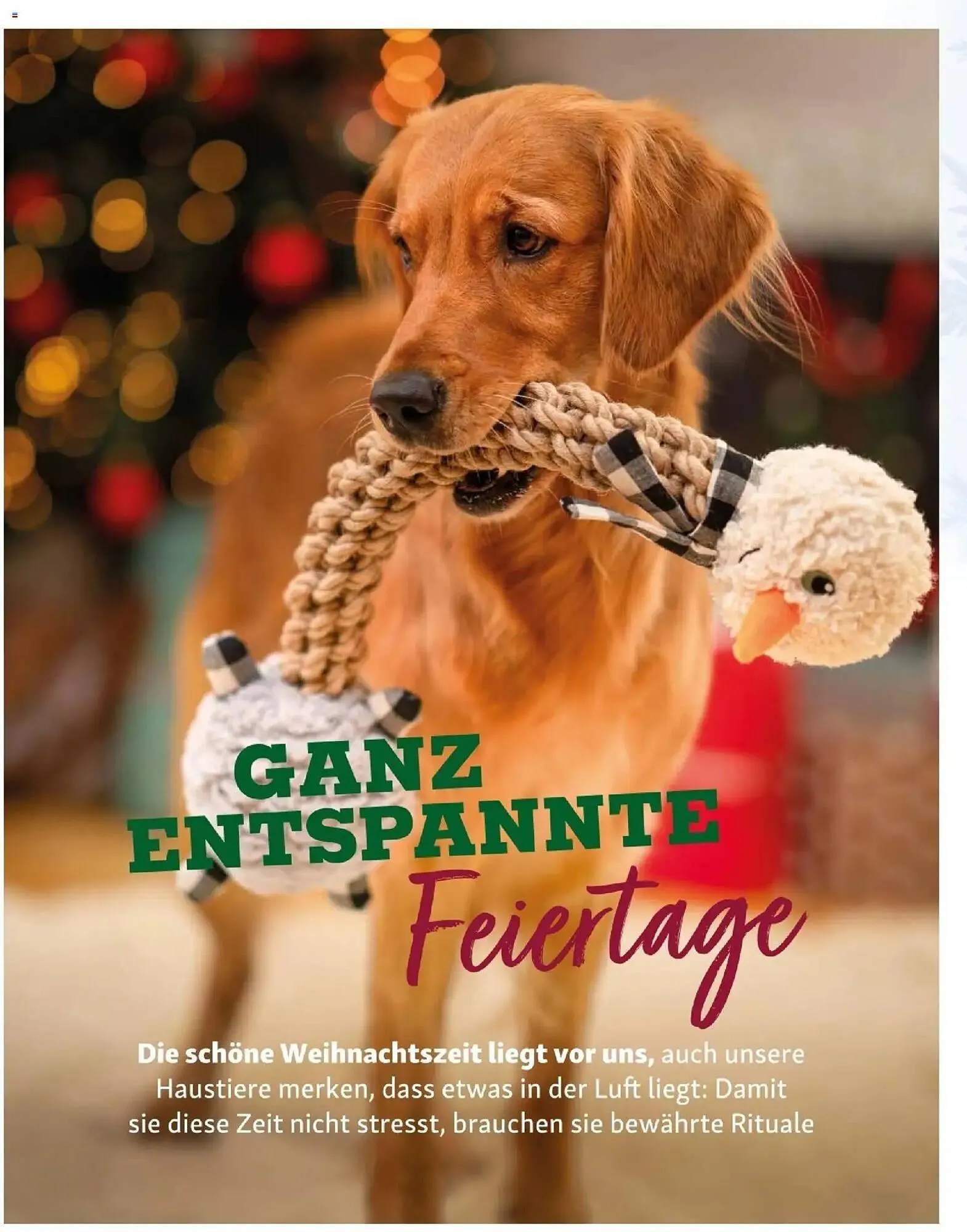 Fressnapf Flugblatt von 1. November bis 31. Dezember 2025 - Flugblätt seite  16