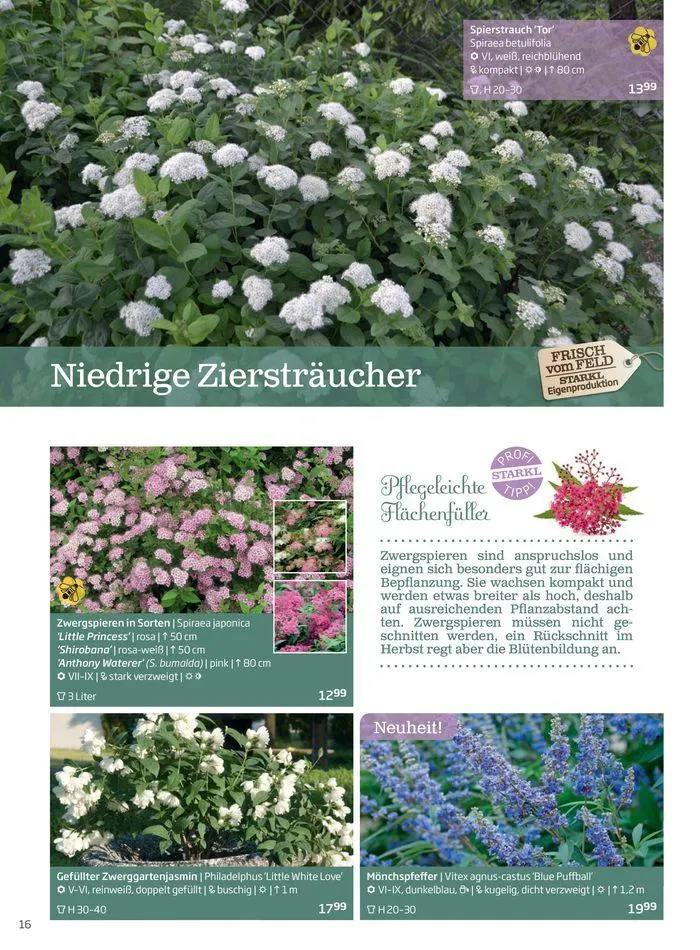 Gartencenter Jahreskatalog 2024 von 20. Mai bis 31. Dezember 2024 - Flugblätt seite 16